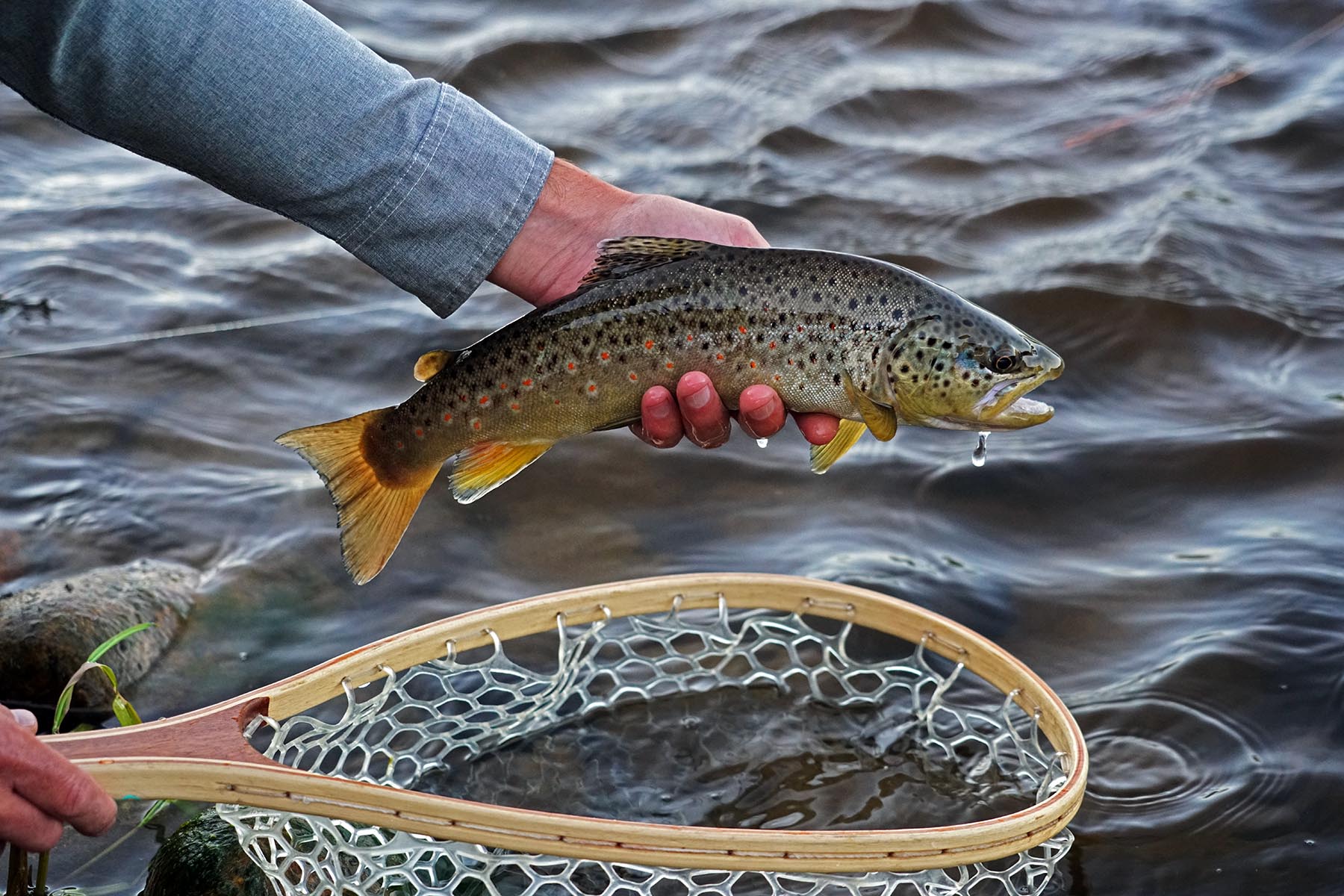 Diamond Tail Ranch property picture 13 of 119