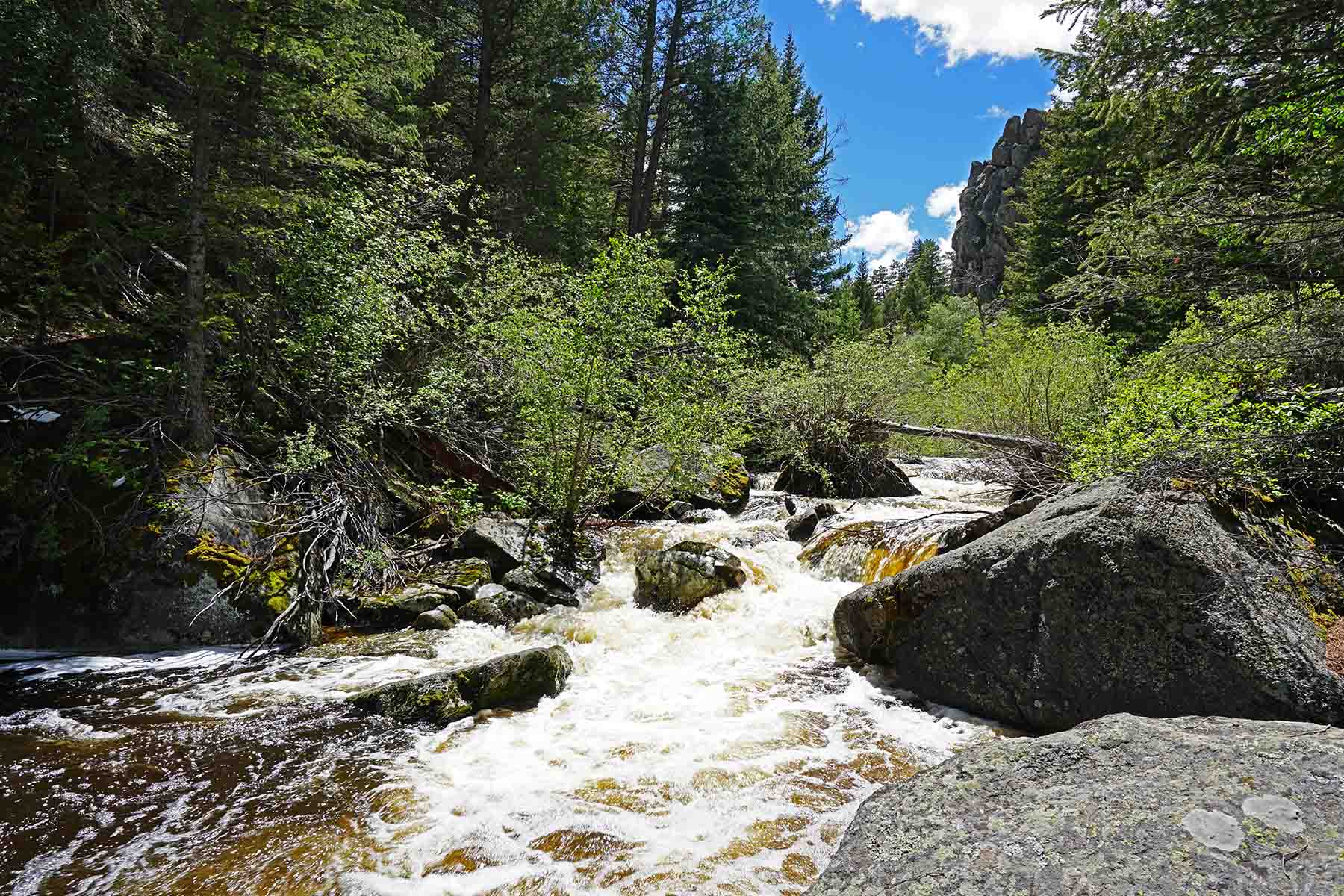 Diamond Tail Ranch property picture 99 of 119