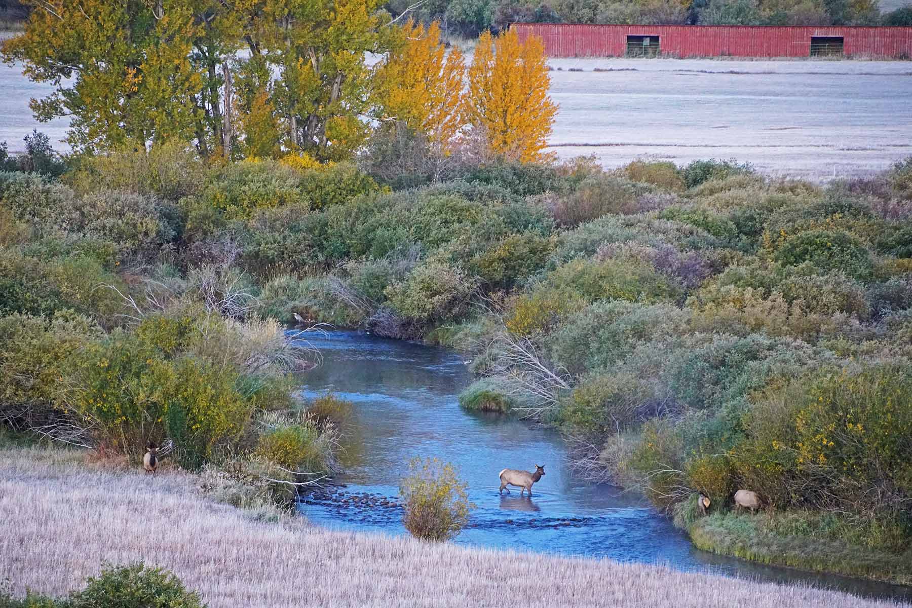 Diamond Tail Ranch property picture 107 of 119