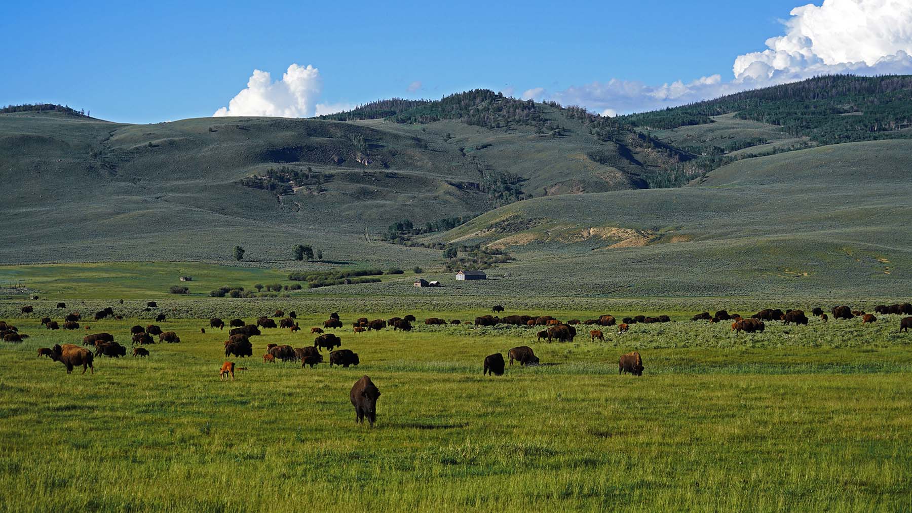 Diamond Tail Ranch property picture 87 of 119