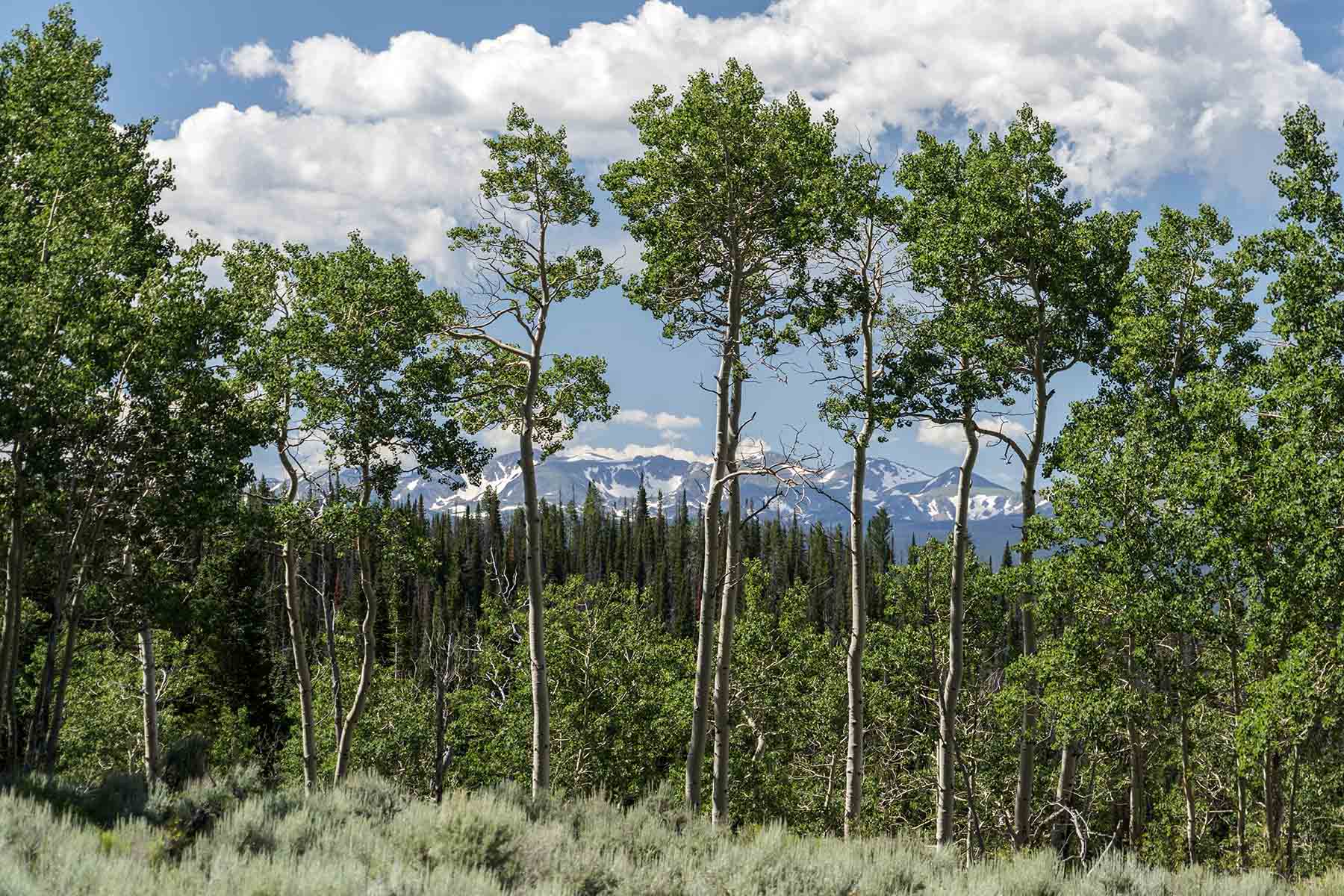 Diamond Tail Ranch property picture 108 of 119