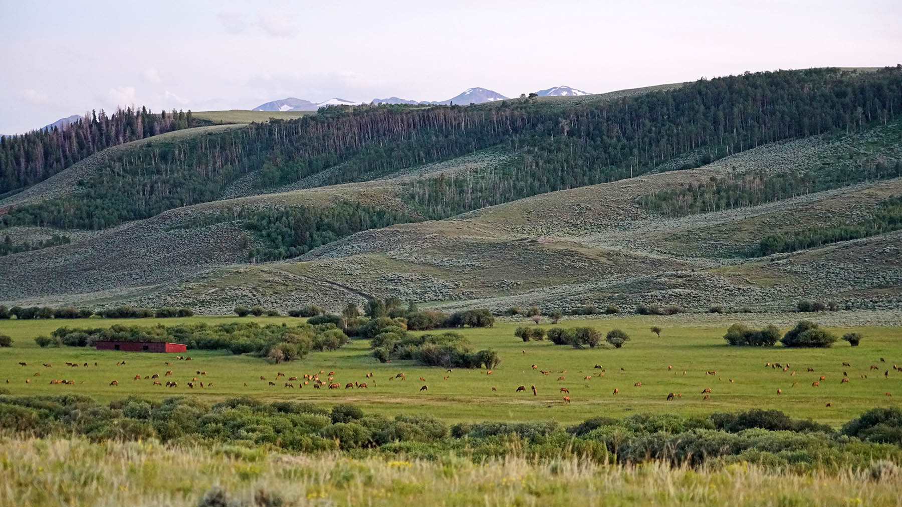 Diamond Tail Ranch property picture 33 of 119