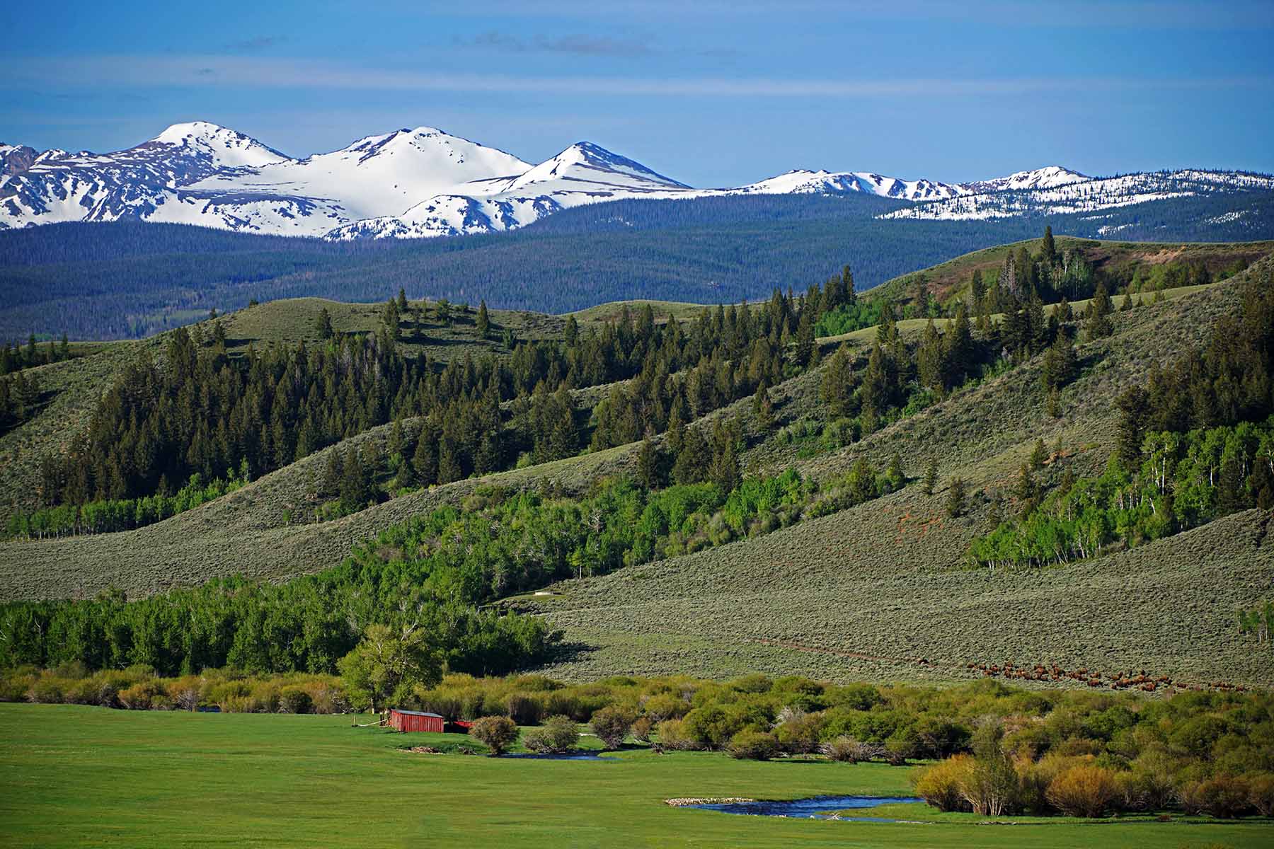 Diamond Tail Ranch property picture 54 of 119