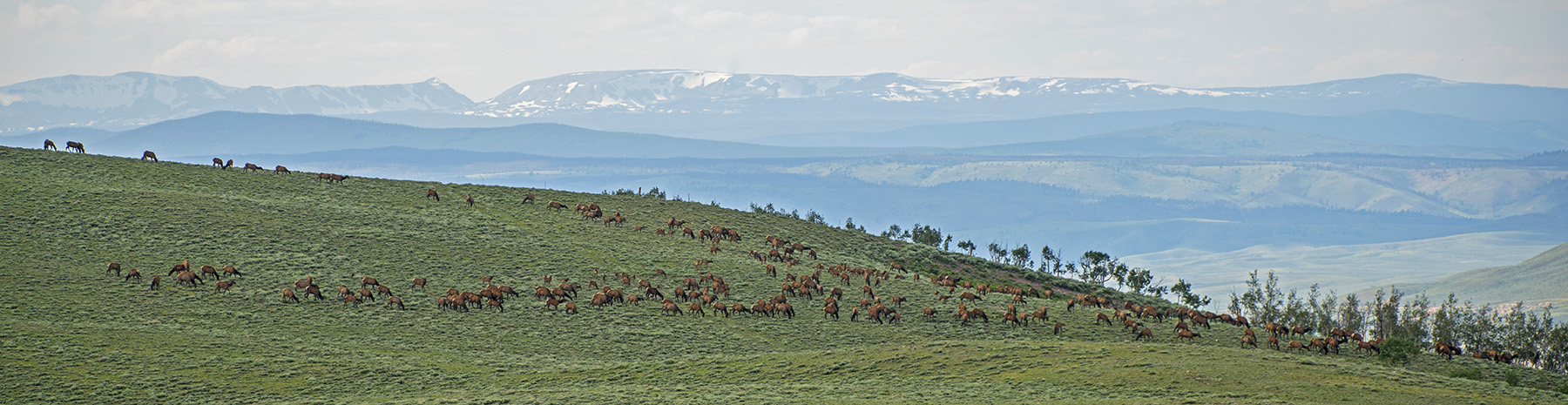 Diamond Tail Ranch property picture 16 of 119