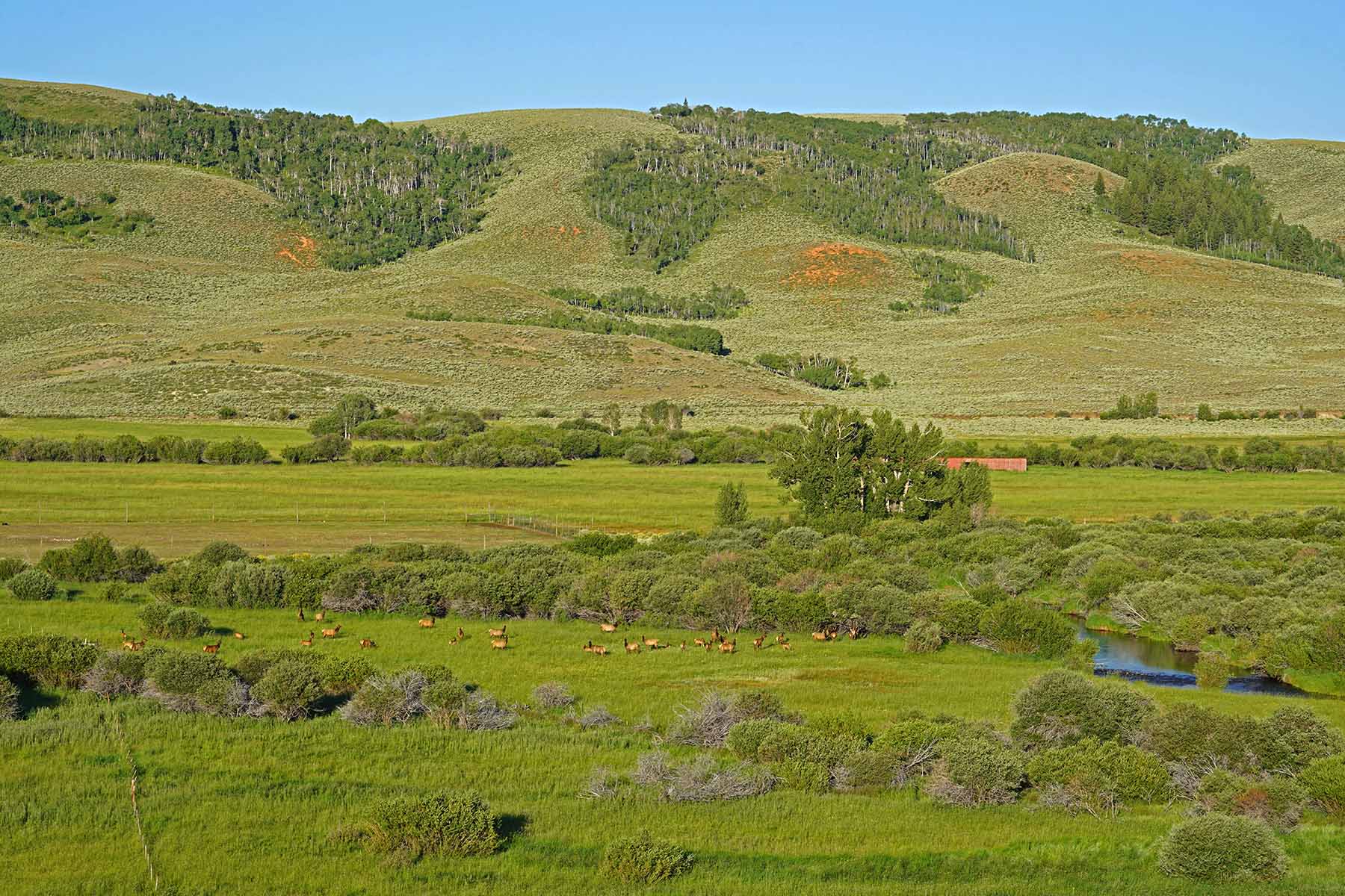 Diamond Tail Ranch property picture 111 of 119