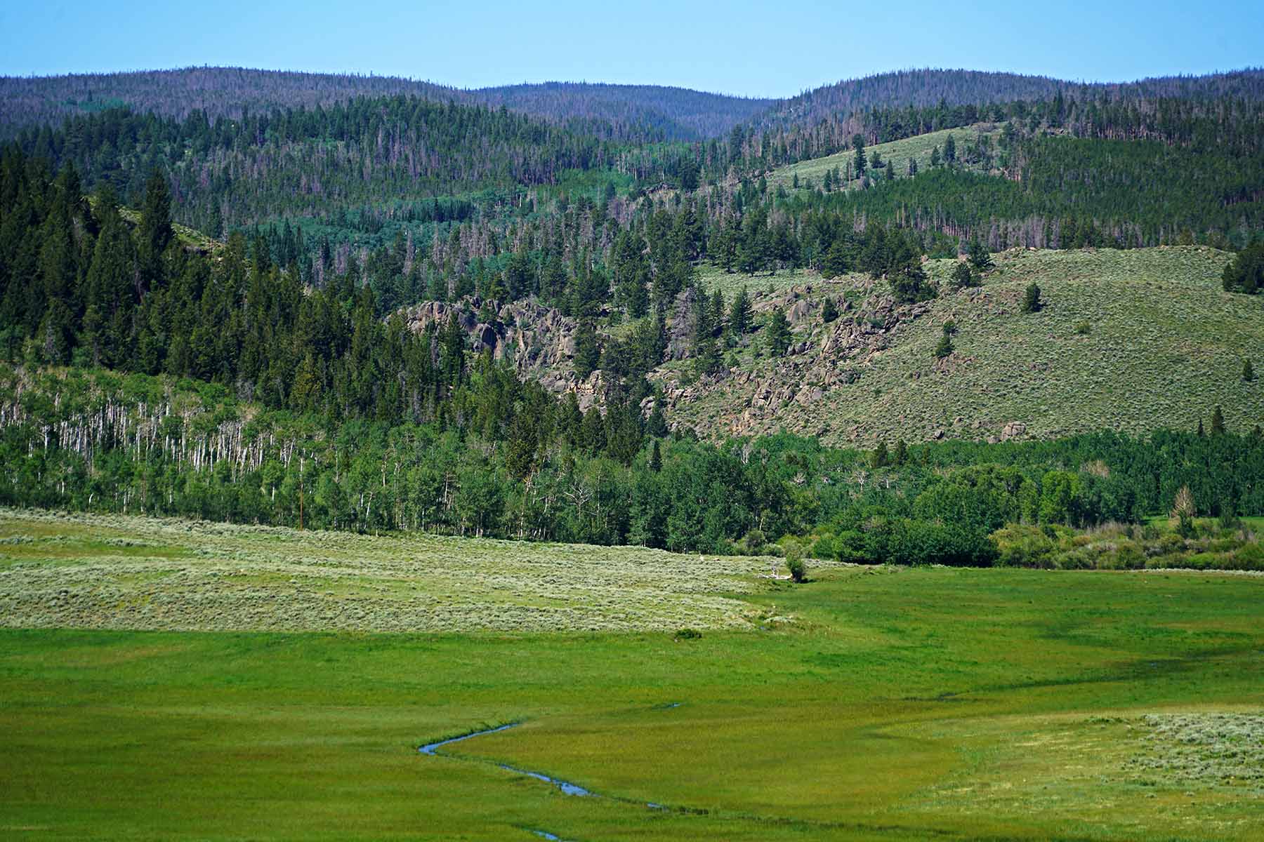 Diamond Tail Ranch property picture 93 of 119