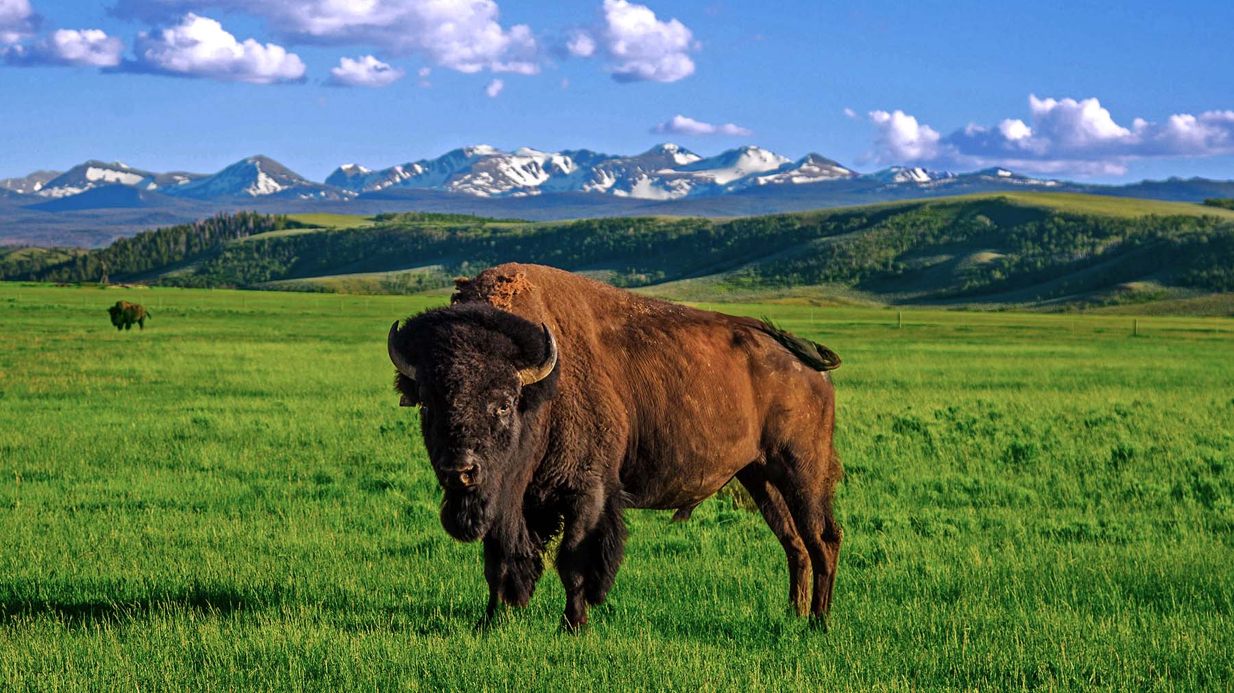 Diamond Tail Ranch property picture 98 of 119