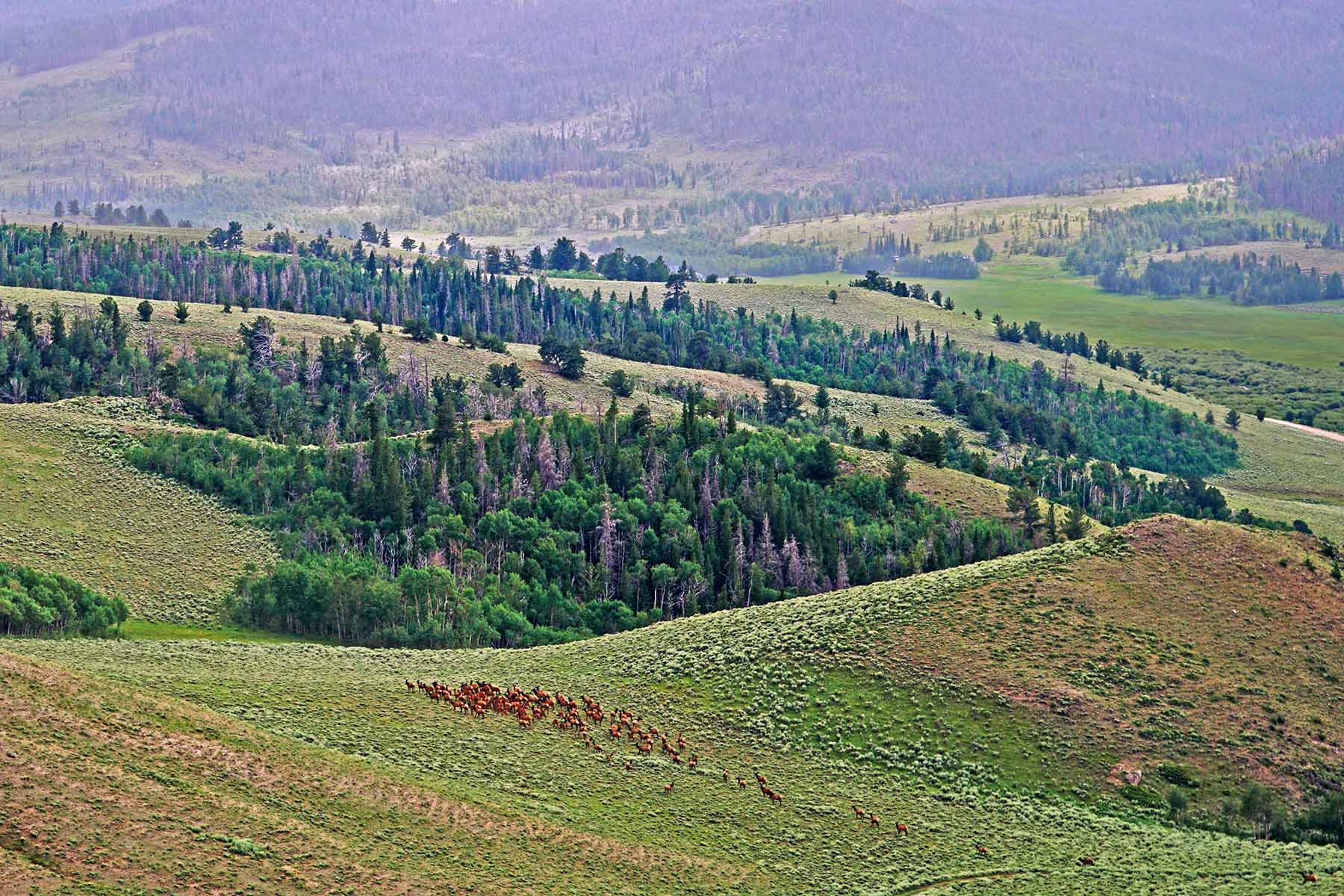 Diamond Tail Ranch property picture 75 of 119