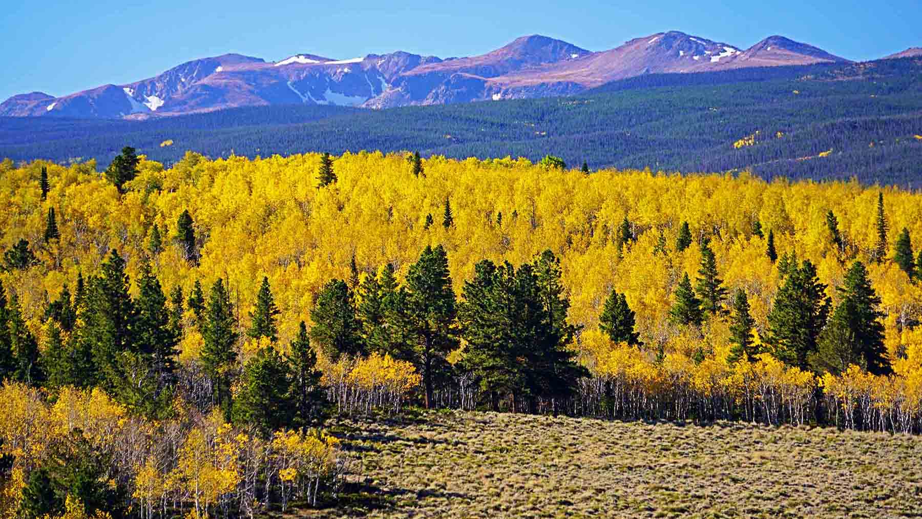 Diamond Tail Ranch property picture 28 of 119