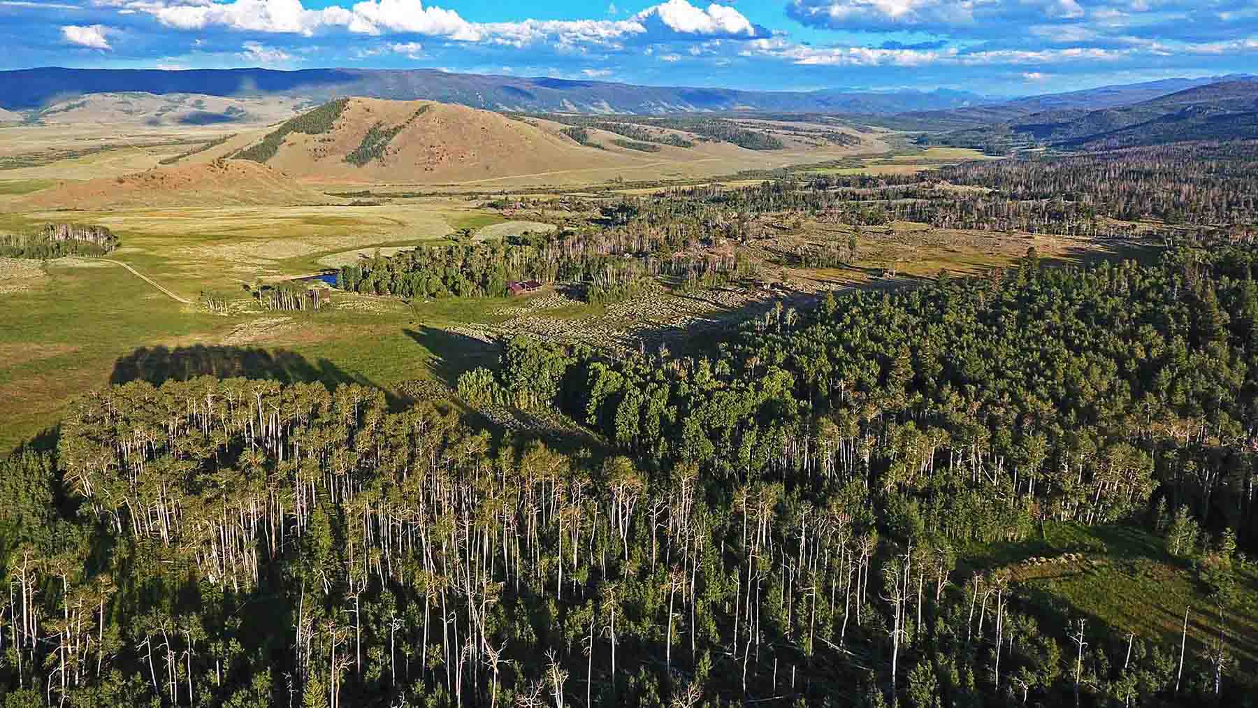 Diamond Tail Ranch property picture 19 of 119