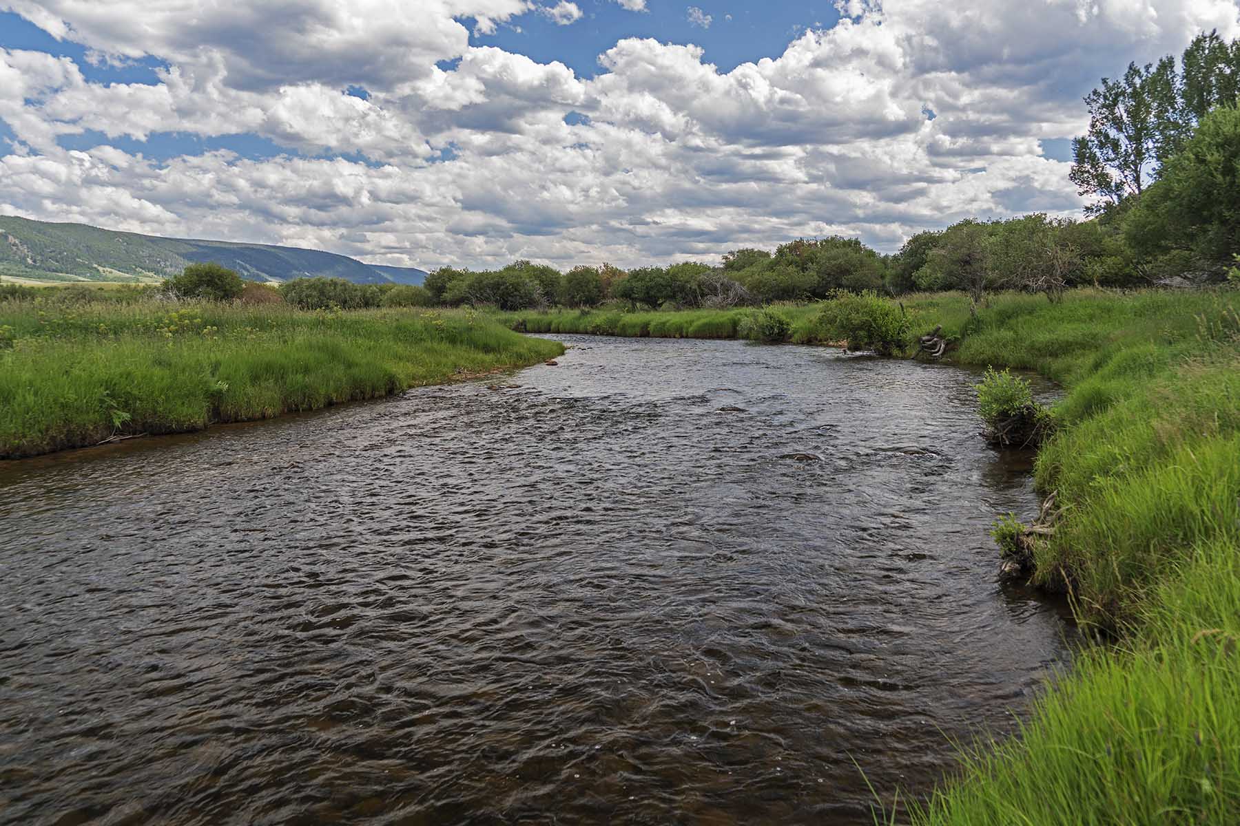 Diamond Tail Ranch property picture 110 of 119