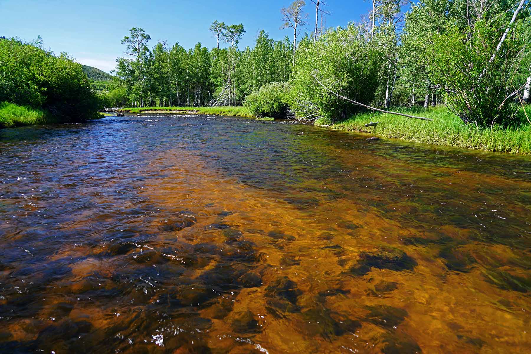 Diamond Tail Ranch property picture 104 of 119