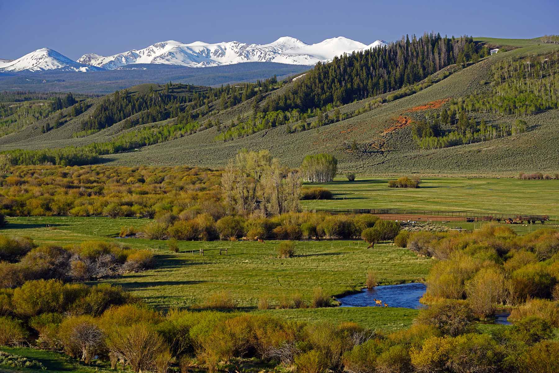 Diamond Tail Ranch property picture 81 of 119