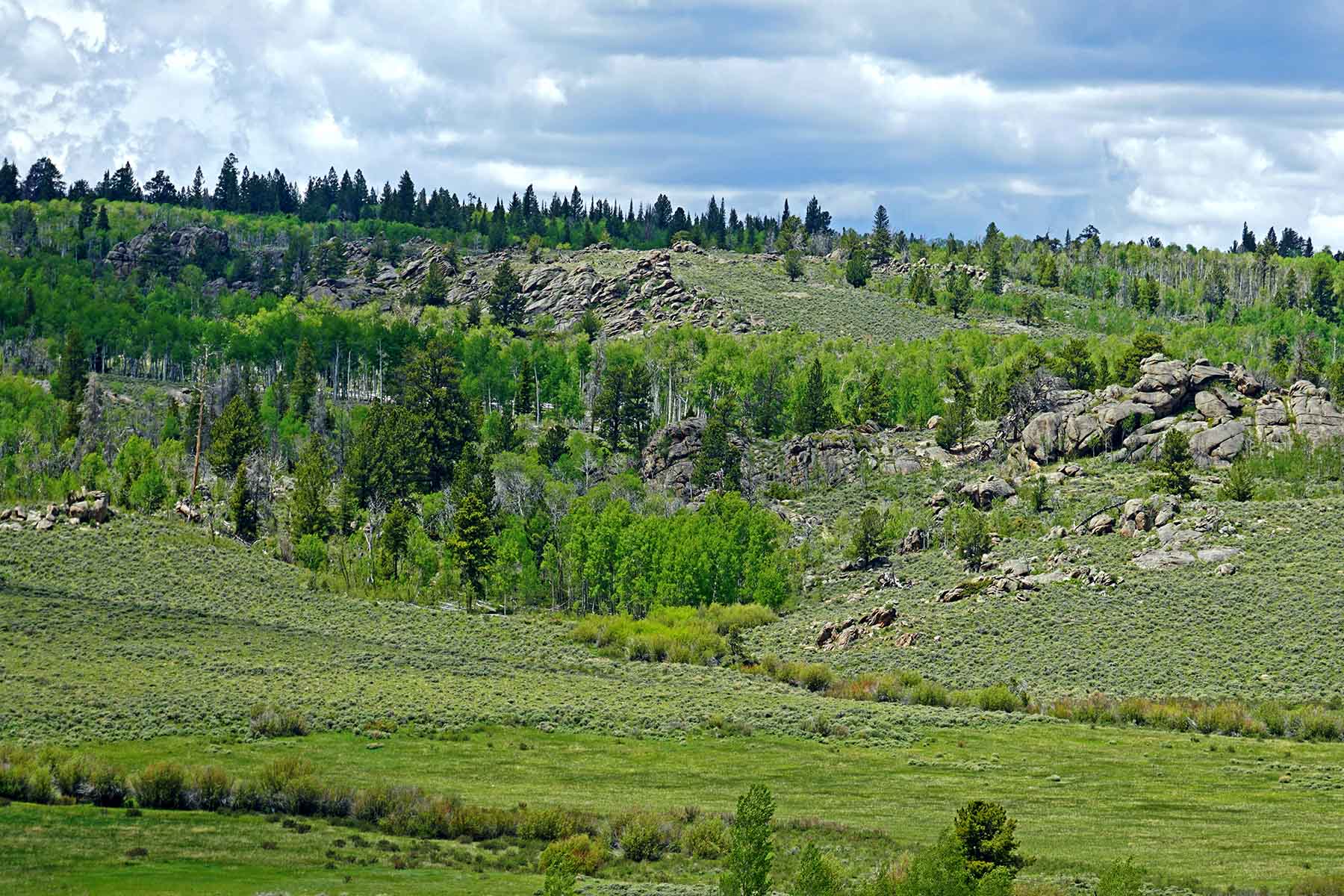 Diamond Tail Ranch property picture 68 of 119