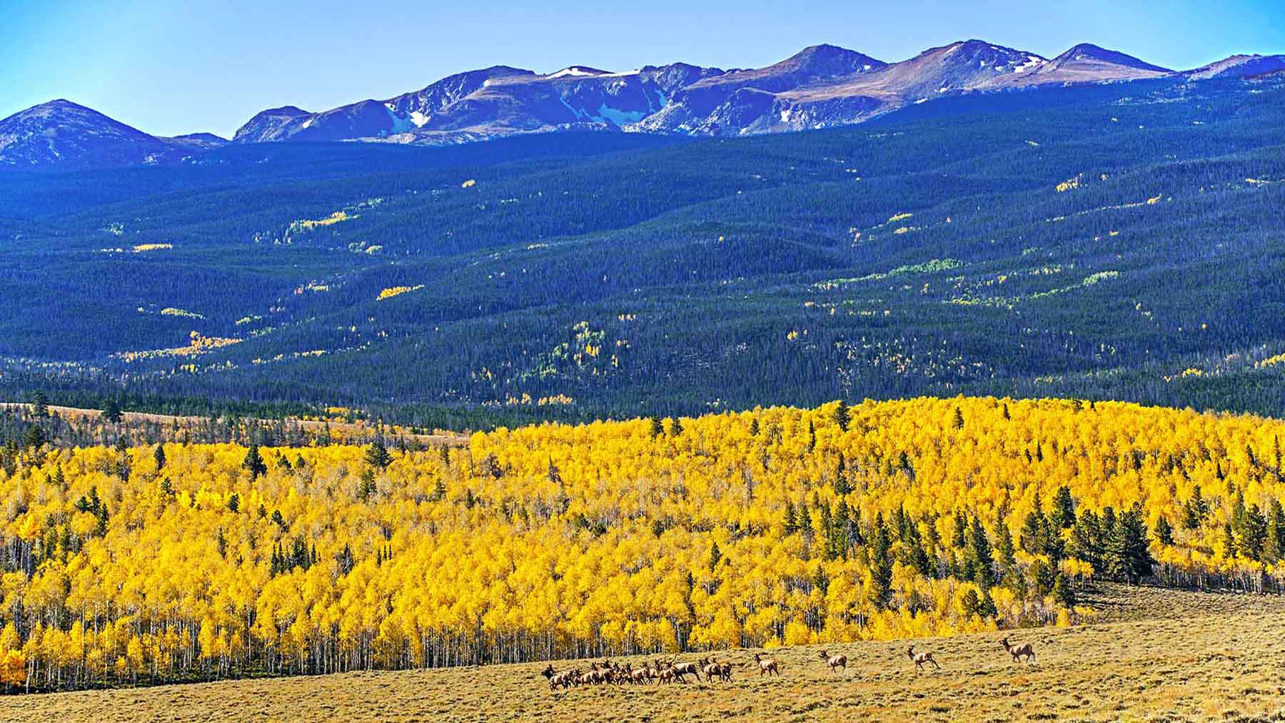 Diamond Tail Ranch property picture 10 of 119