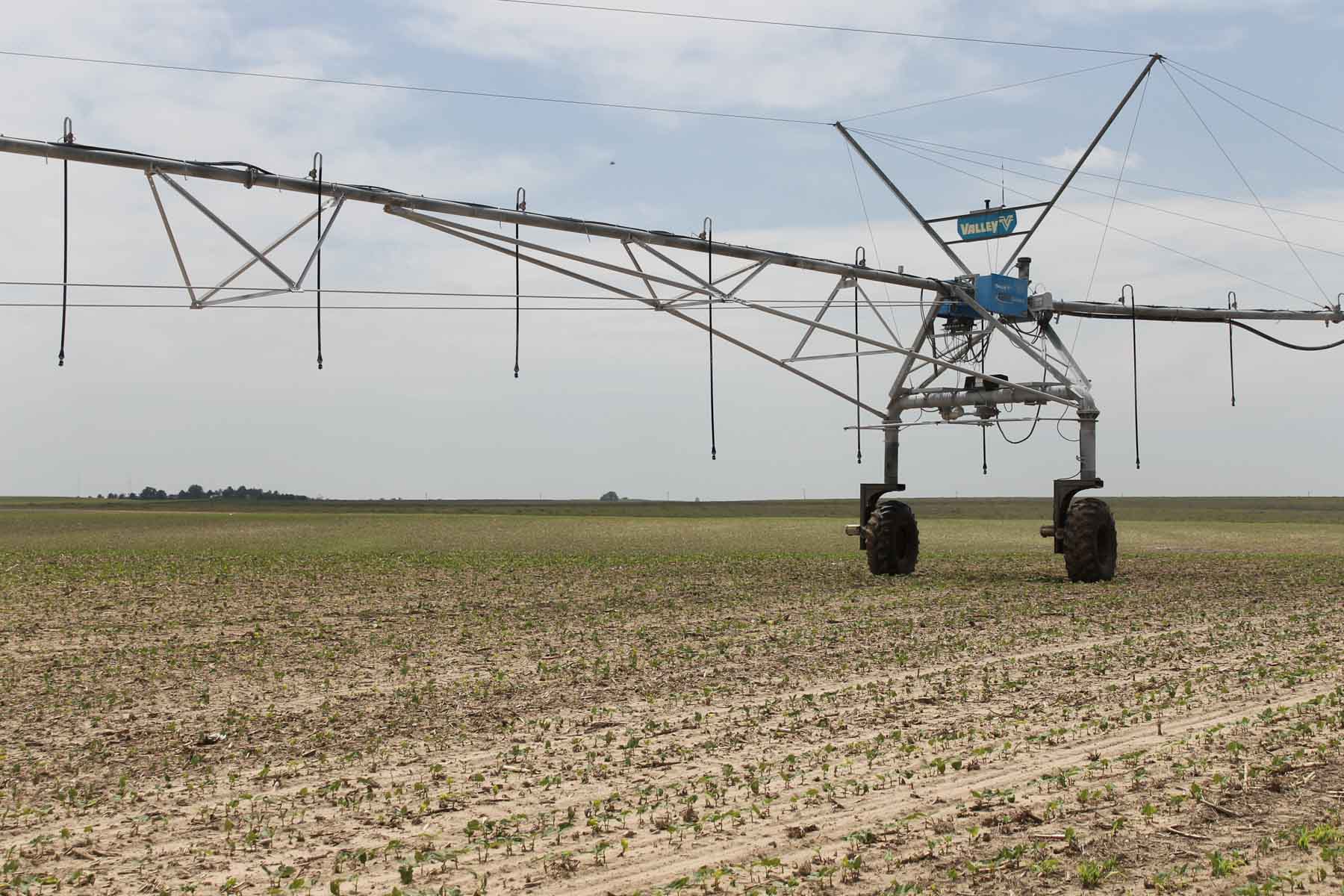 Eastern Colorado Farms property picture 8 of 15
