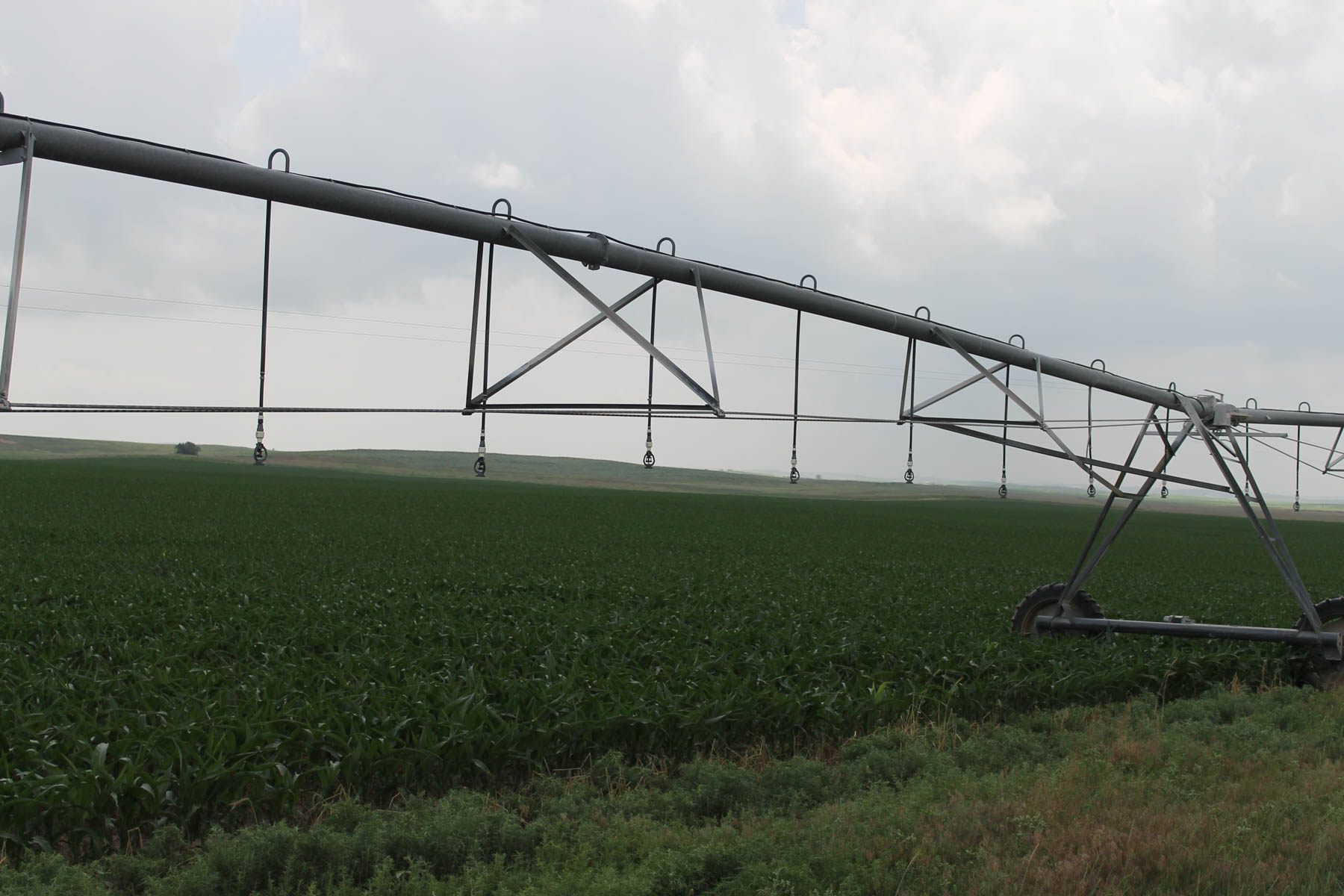 Eastern Colorado Farms property picture 2 of 15