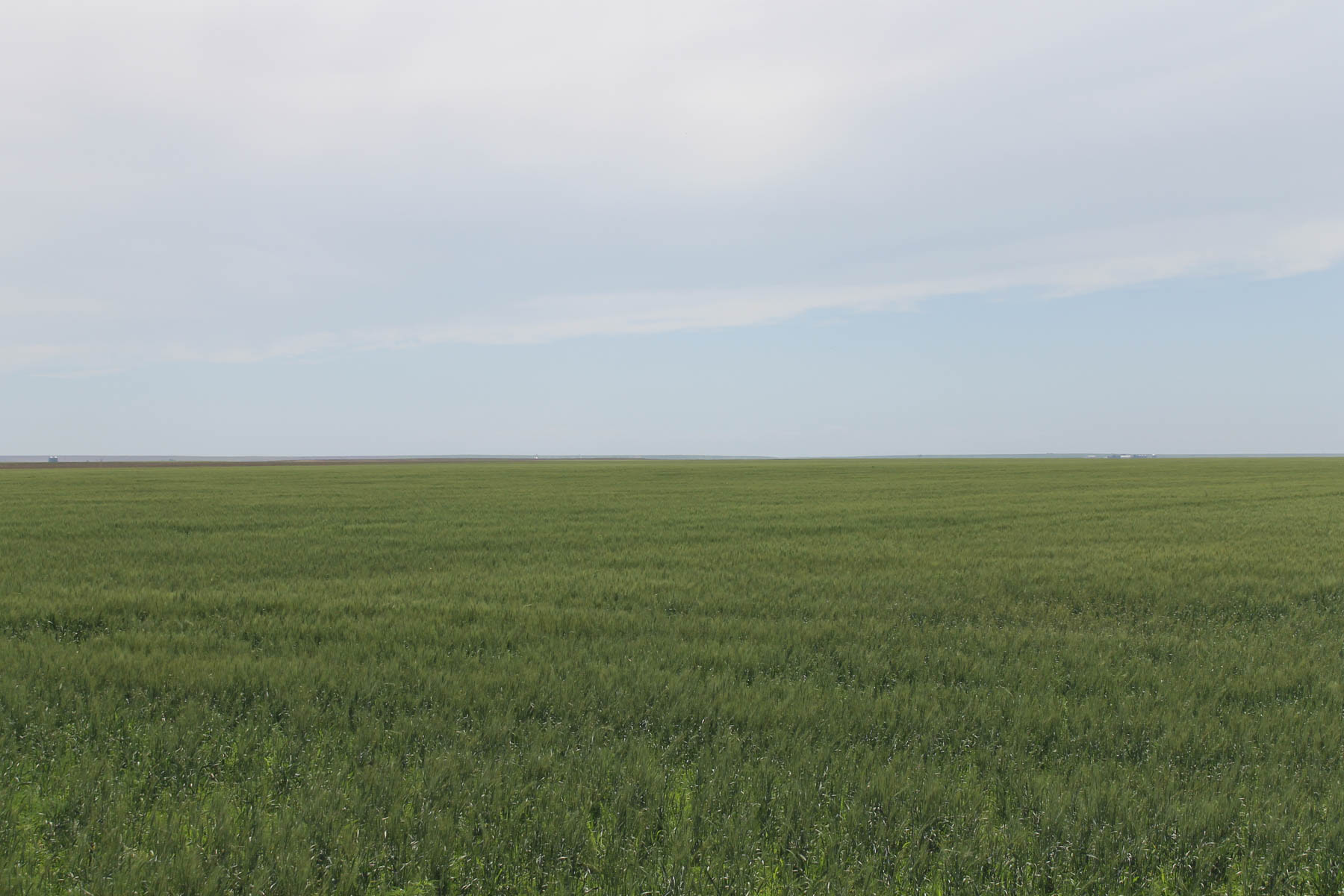 Eastern Colorado Farms property picture 15 of 15