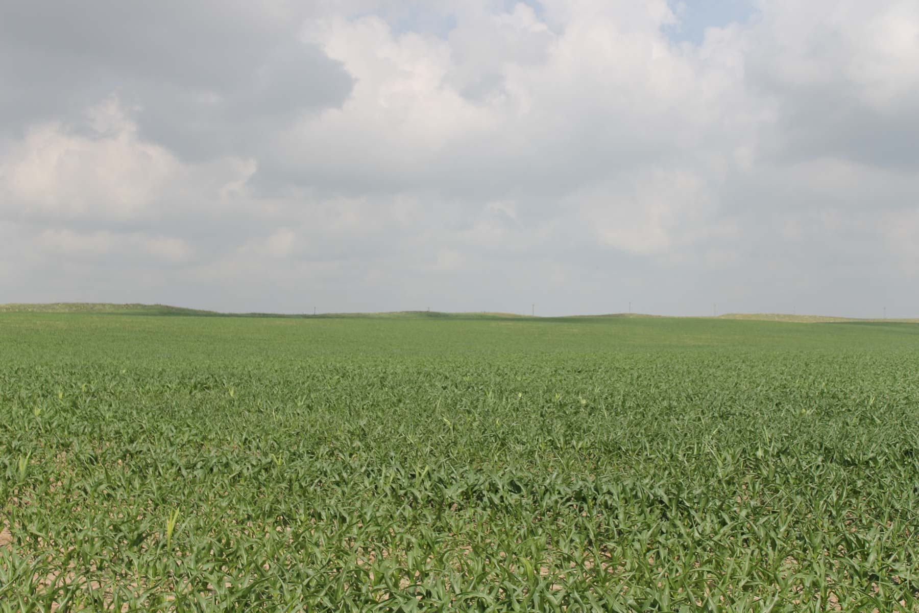 Eastern Colorado Farms property picture 7 of 15