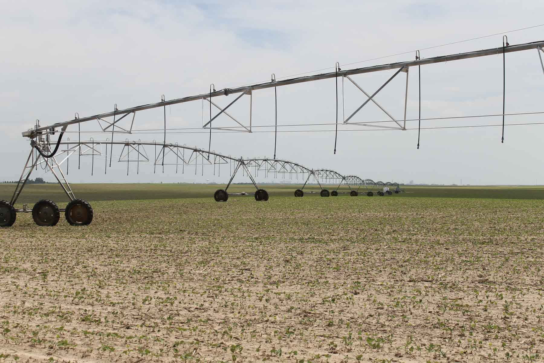 Eastern Colorado Farms property picture 3 of 15