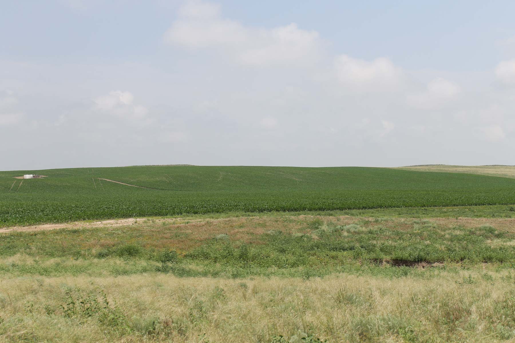 Eastern Colorado Farms property picture 14 of 15
