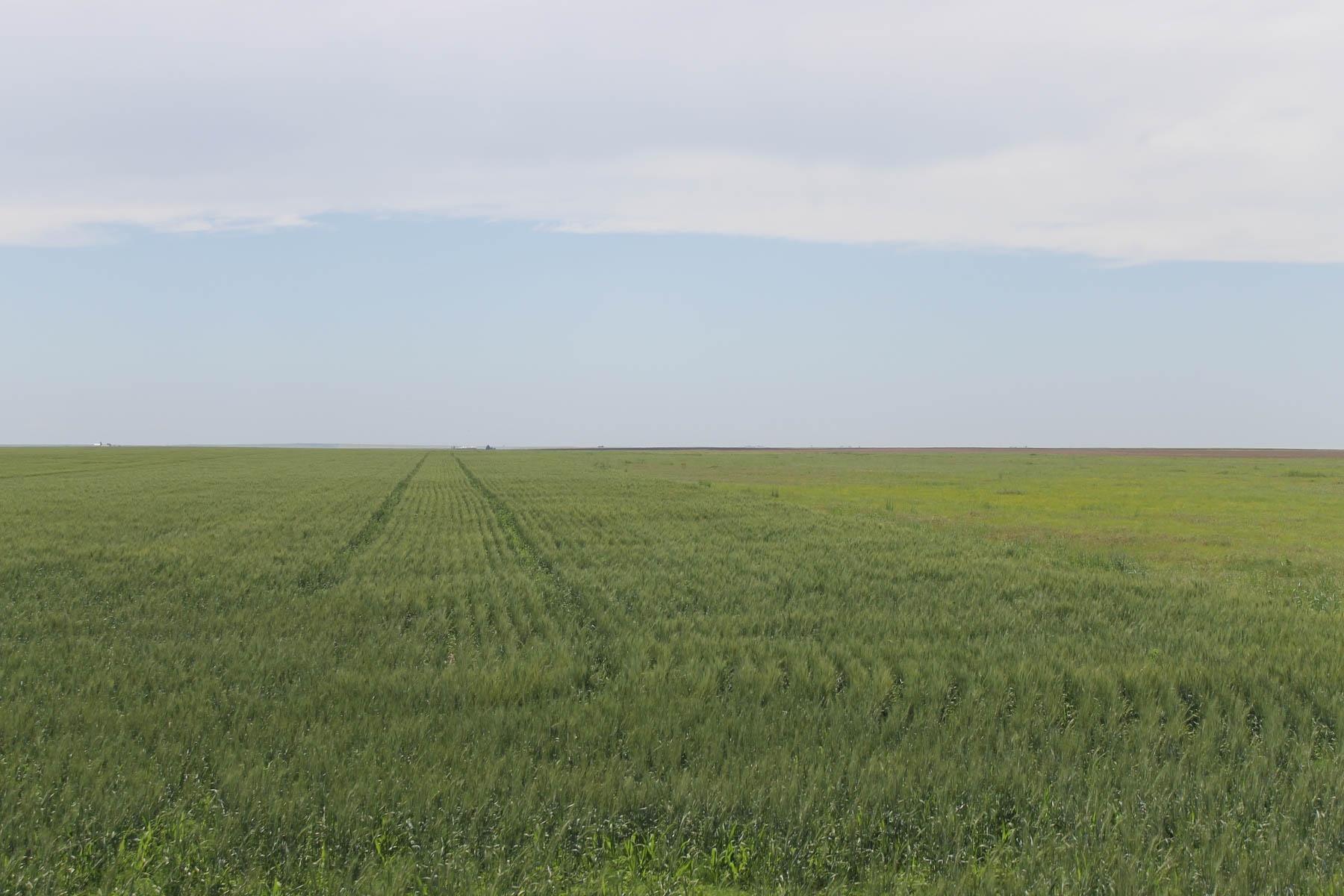 Eastern Colorado Farms property picture 11 of 15