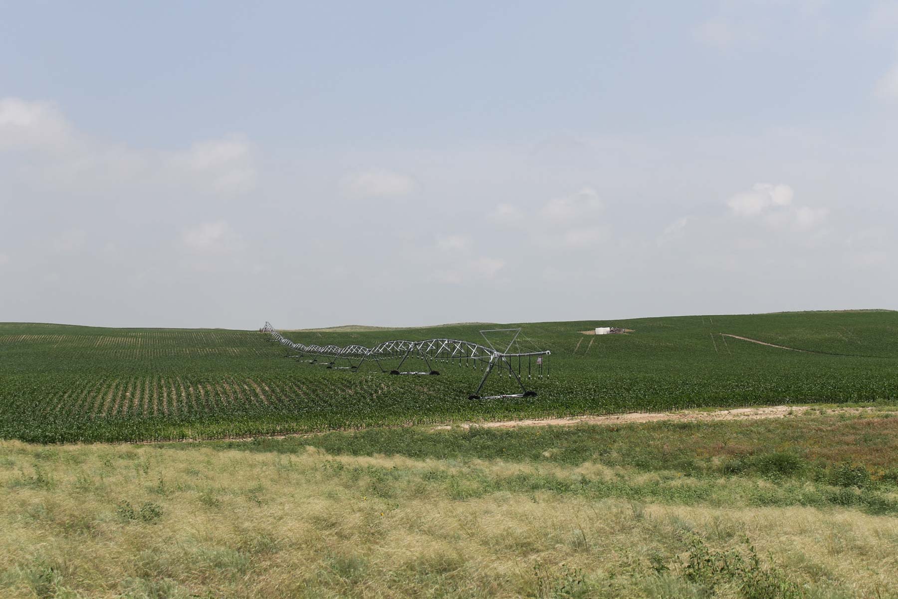 Eastern Colorado Farms property picture 13 of 15