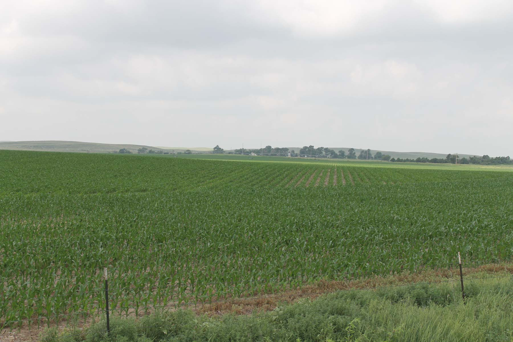 Eastern Colorado Farms property picture 5 of 15