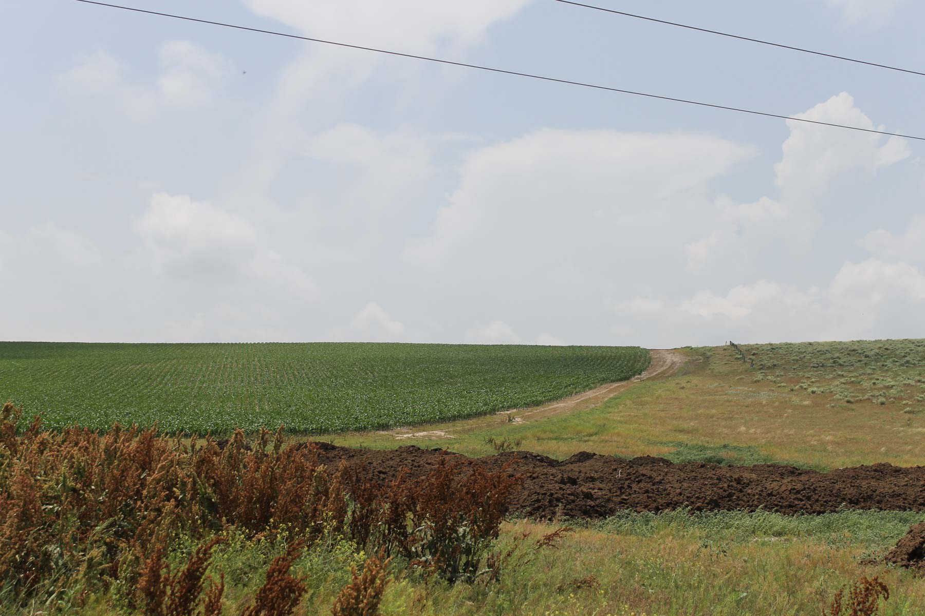 Eastern Colorado Farms property picture 12 of 15