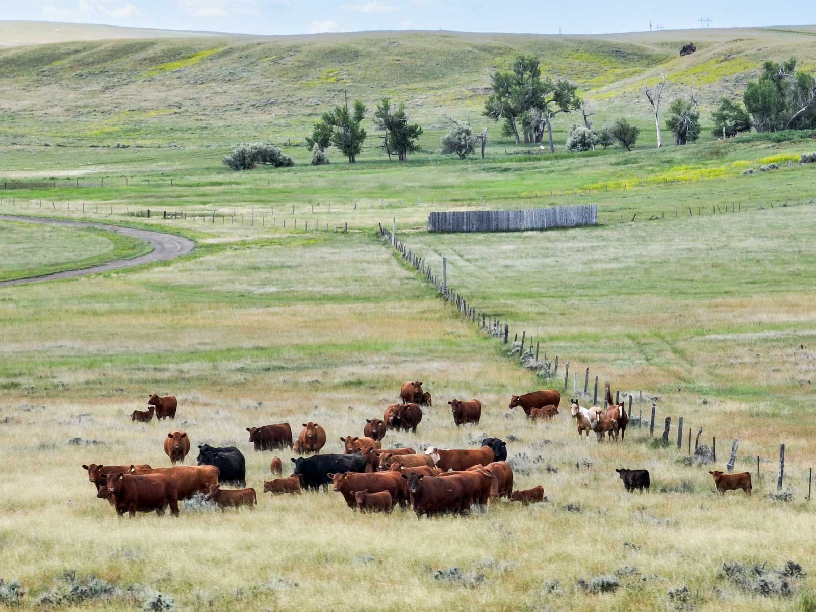 Spaeth Ranch property picture 20 of 72