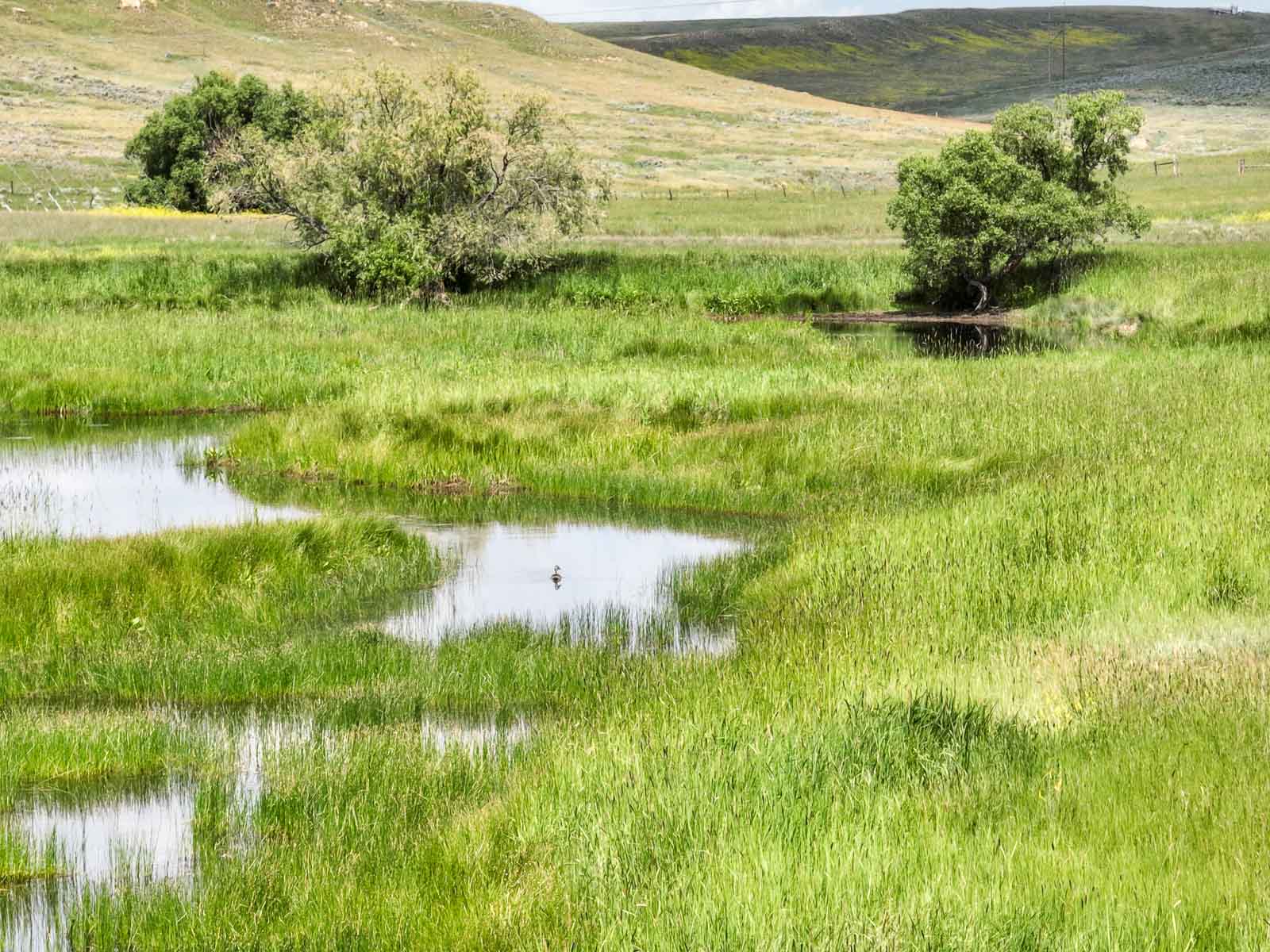 Spaeth Ranch property picture 8 of 72