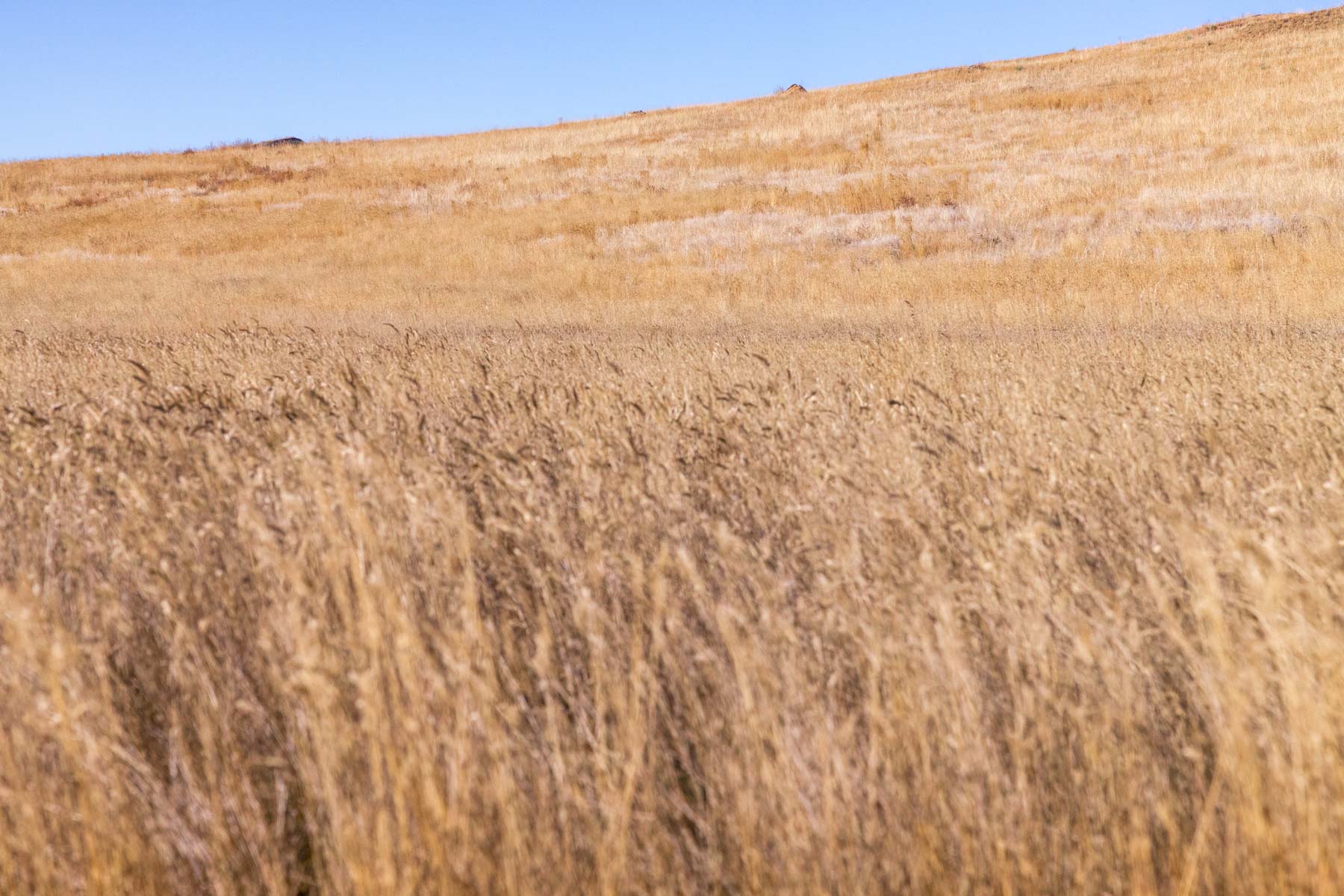 Spaeth Ranch property picture 25 of 72