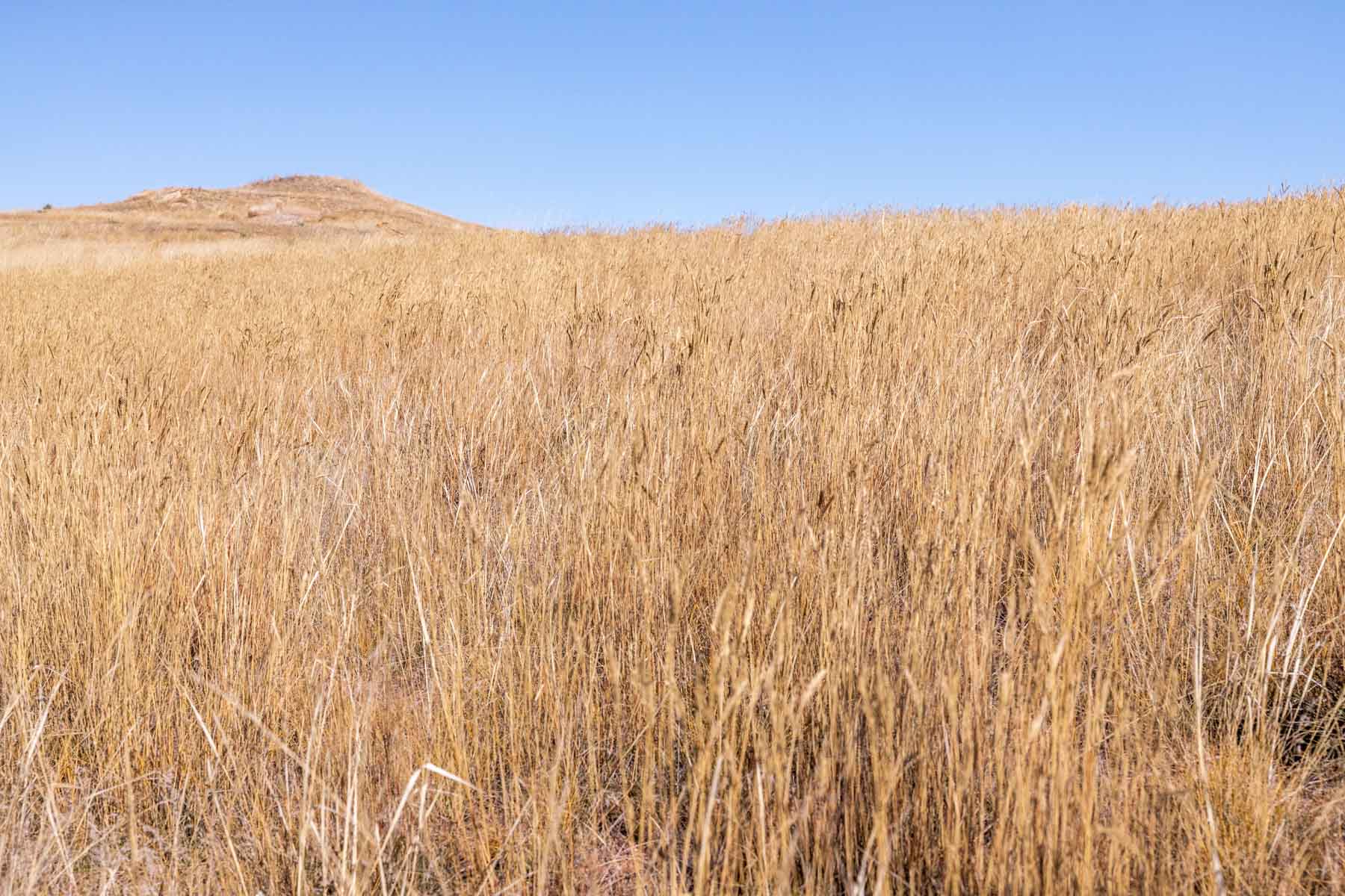 Spaeth Ranch property picture 34 of 72