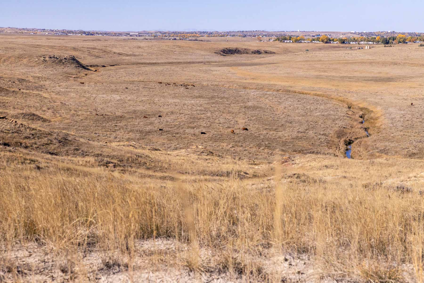 Spaeth Ranch property picture 41 of 72