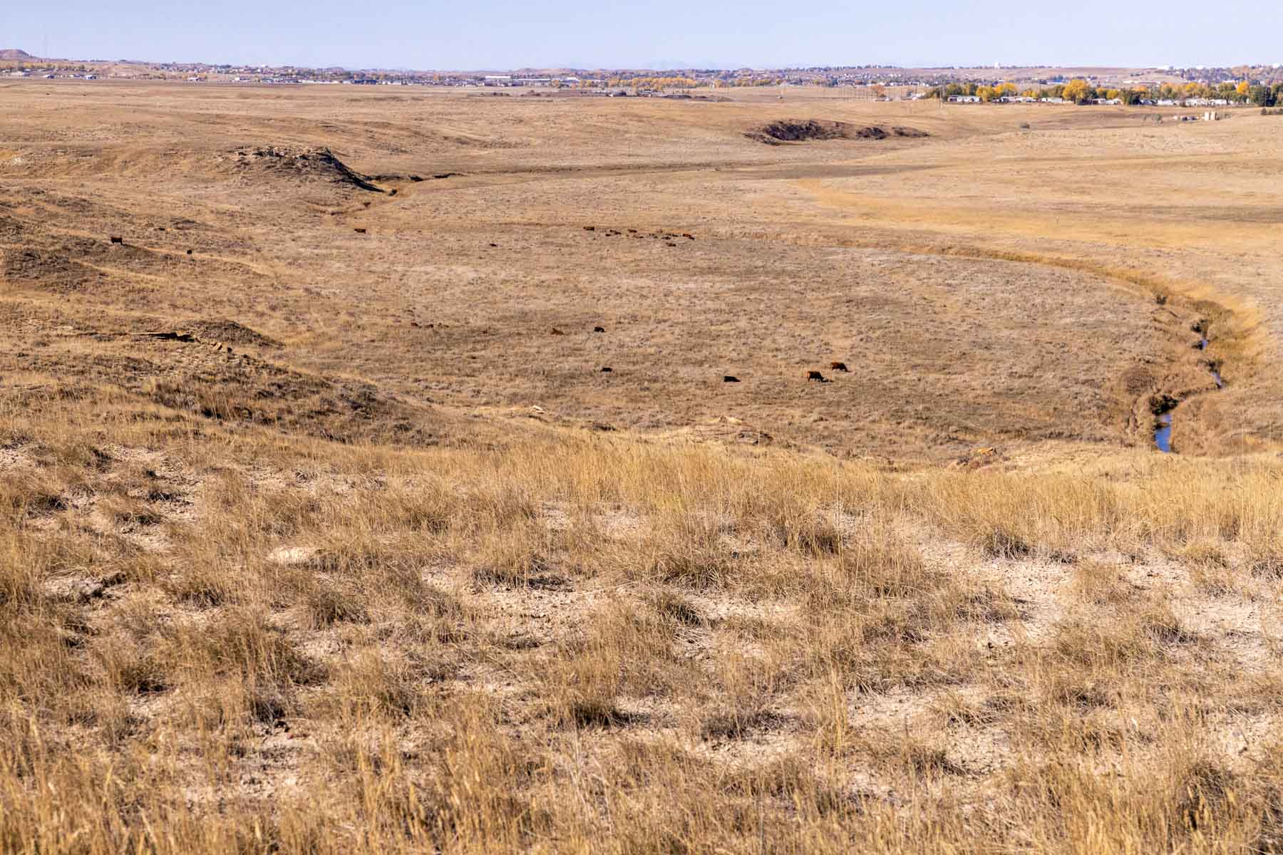 Spaeth Ranch property picture 39 of 72