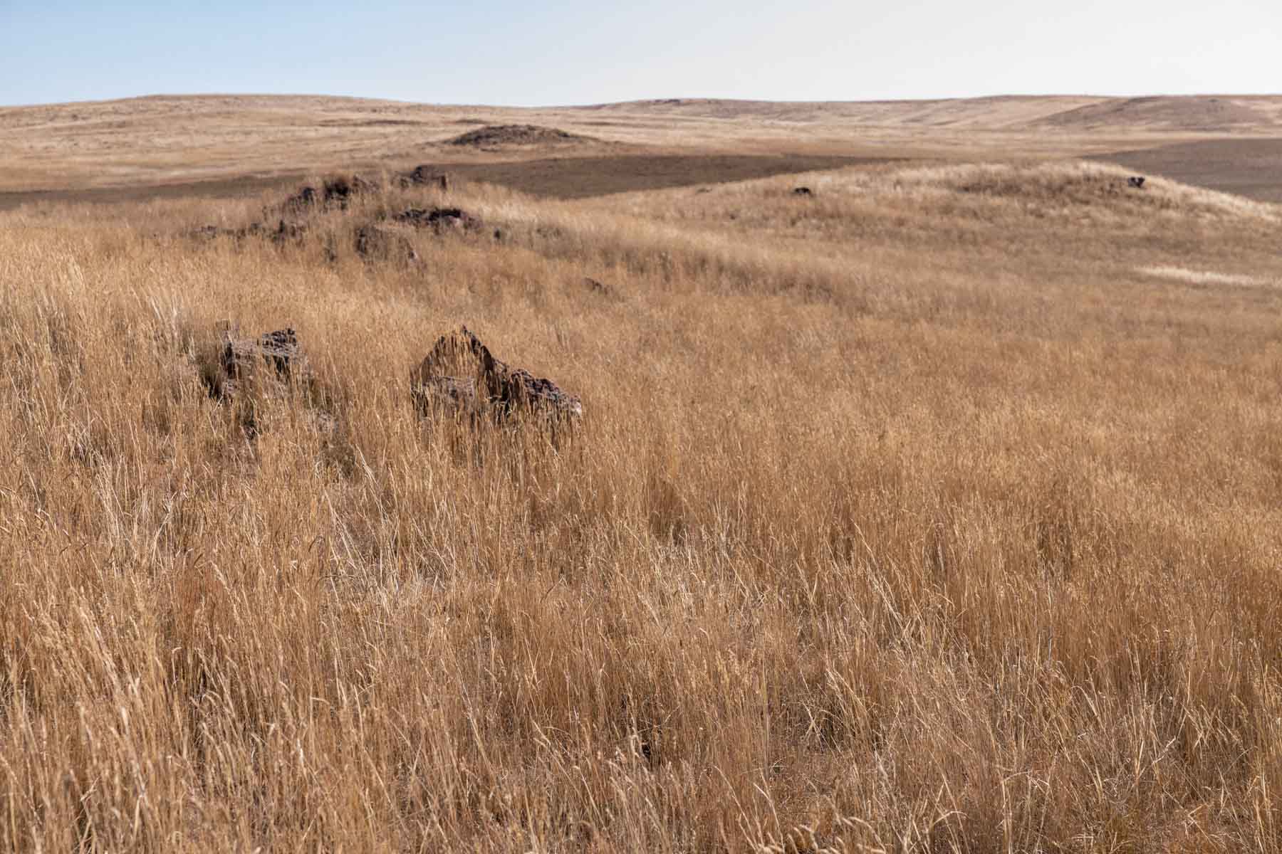 Spaeth Ranch property picture 31 of 72