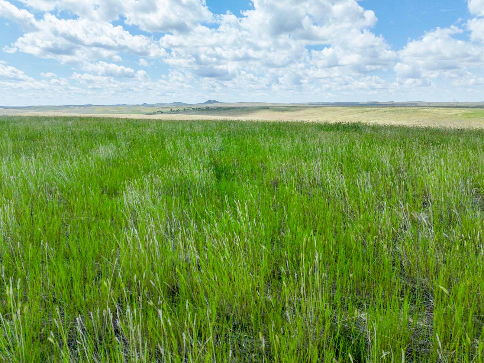 Spaeth Ranch property picture 14 of 72