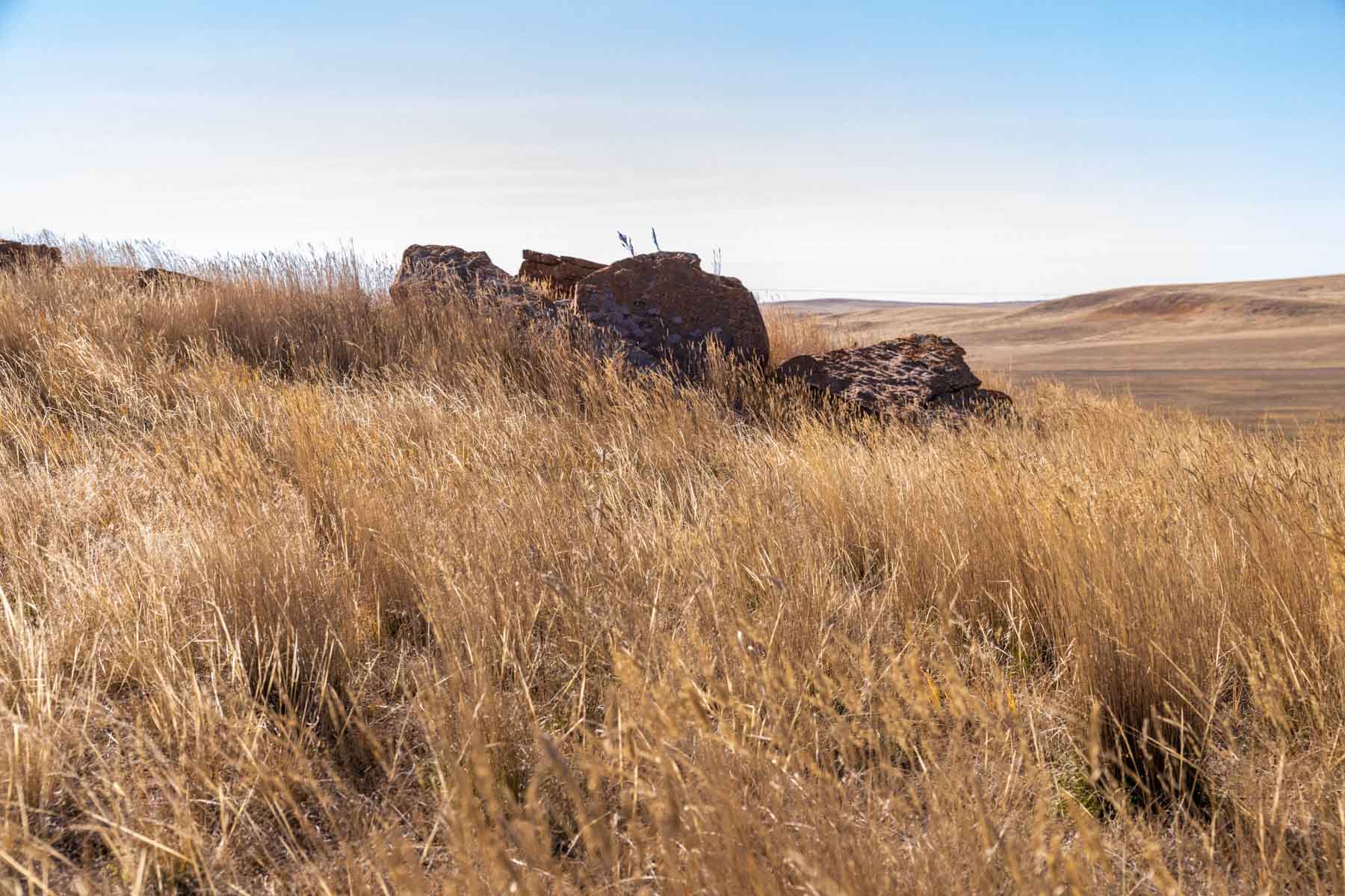 Spaeth Ranch property picture 28 of 72