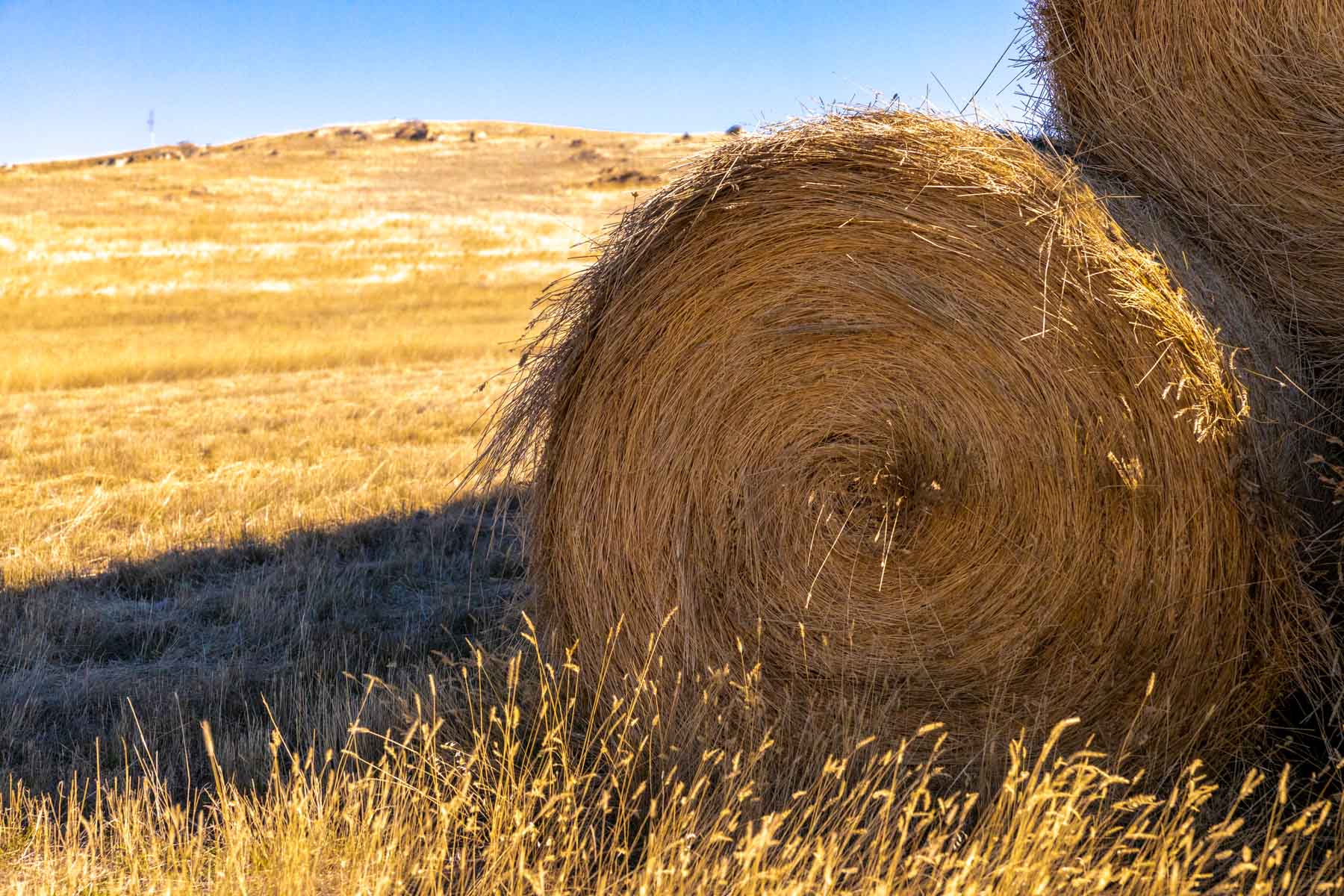 Spaeth Ranch property picture 27 of 72