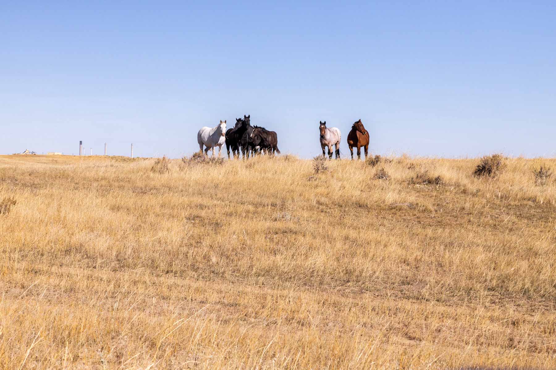 Spaeth Ranch property picture 42 of 72