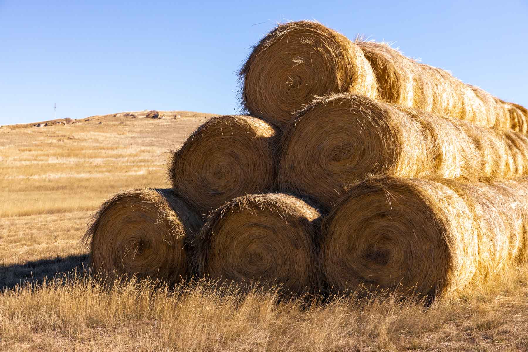 Spaeth Ranch property picture 26 of 72