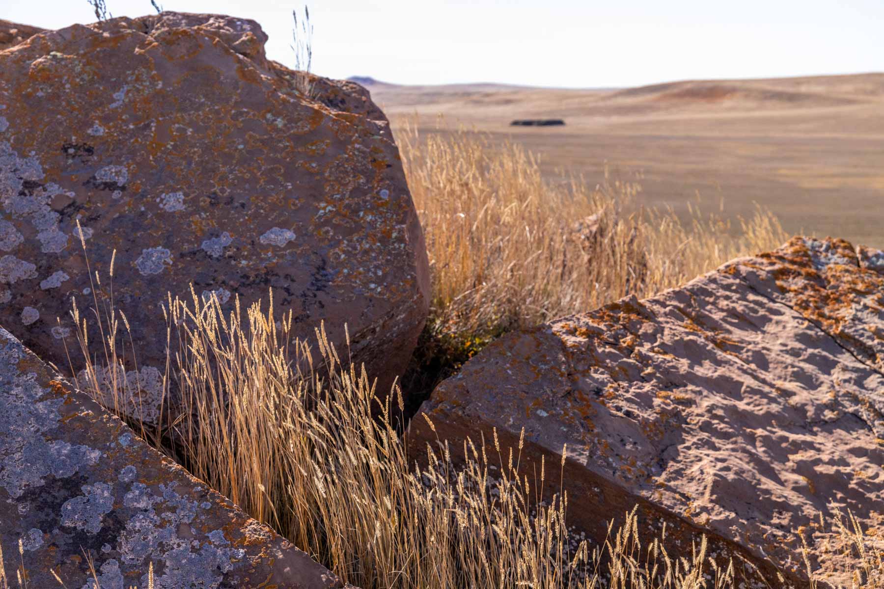 Spaeth Ranch property picture 29 of 72