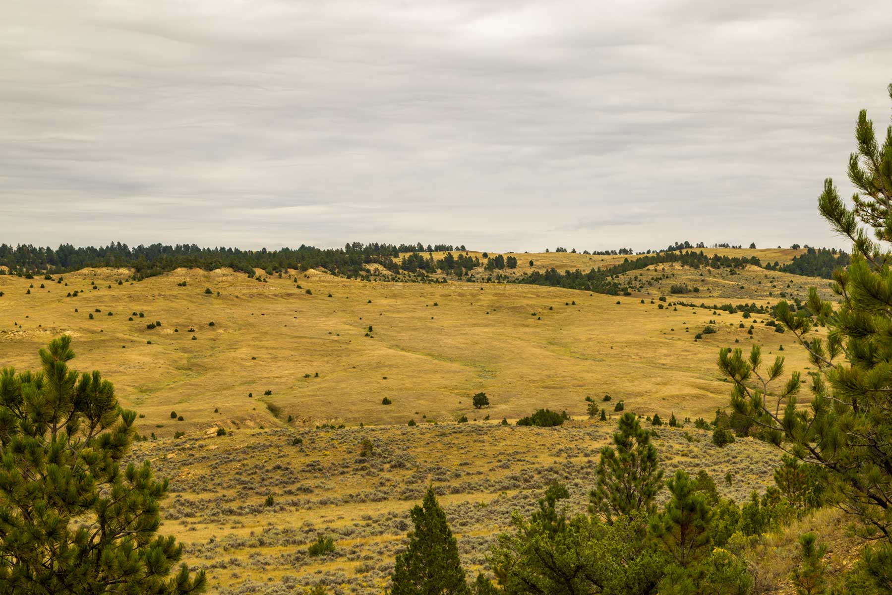 Cedar Creek Ranch property picture 18 of 76