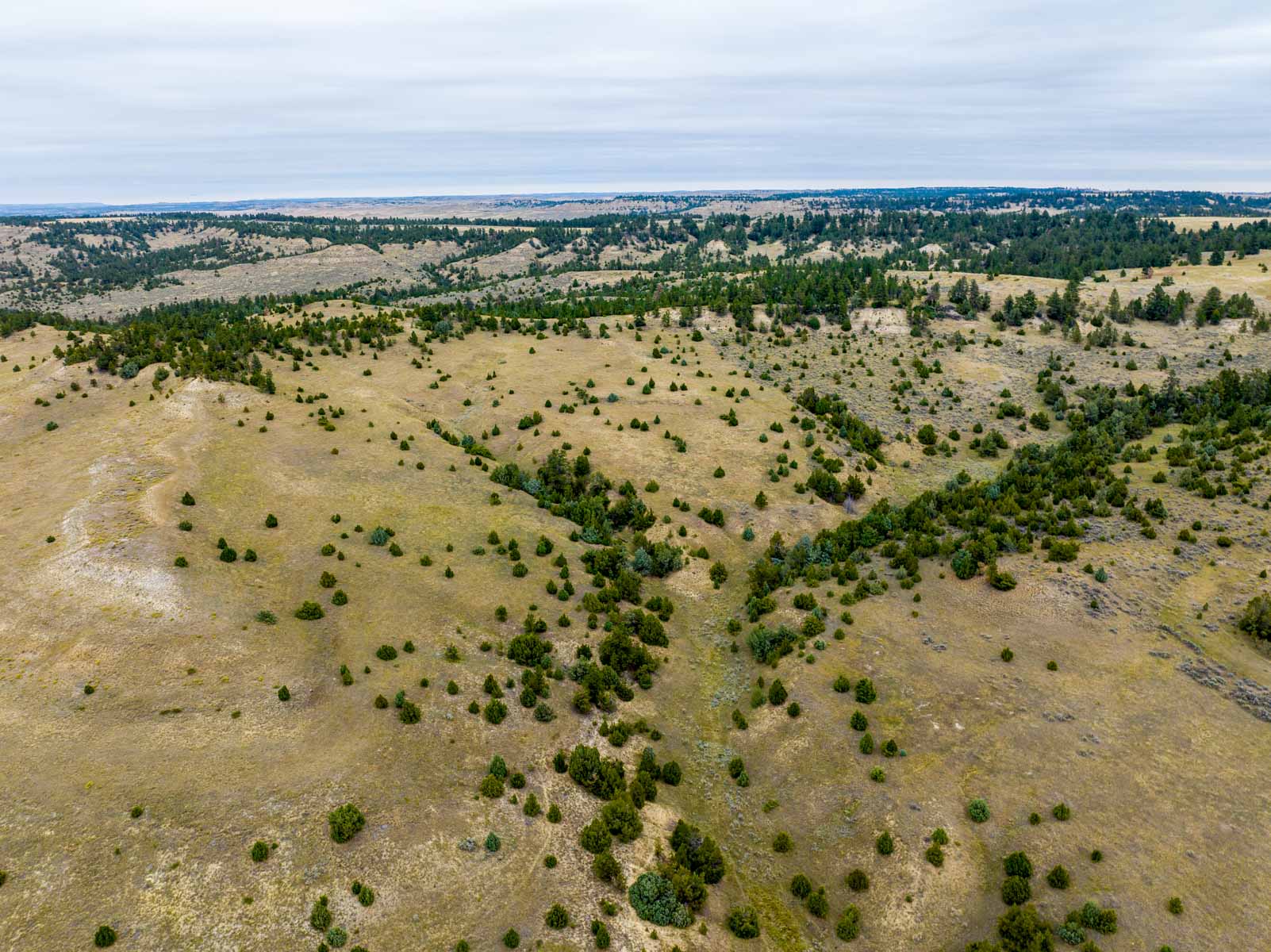 Cedar Creek Ranch property picture 22 of 76