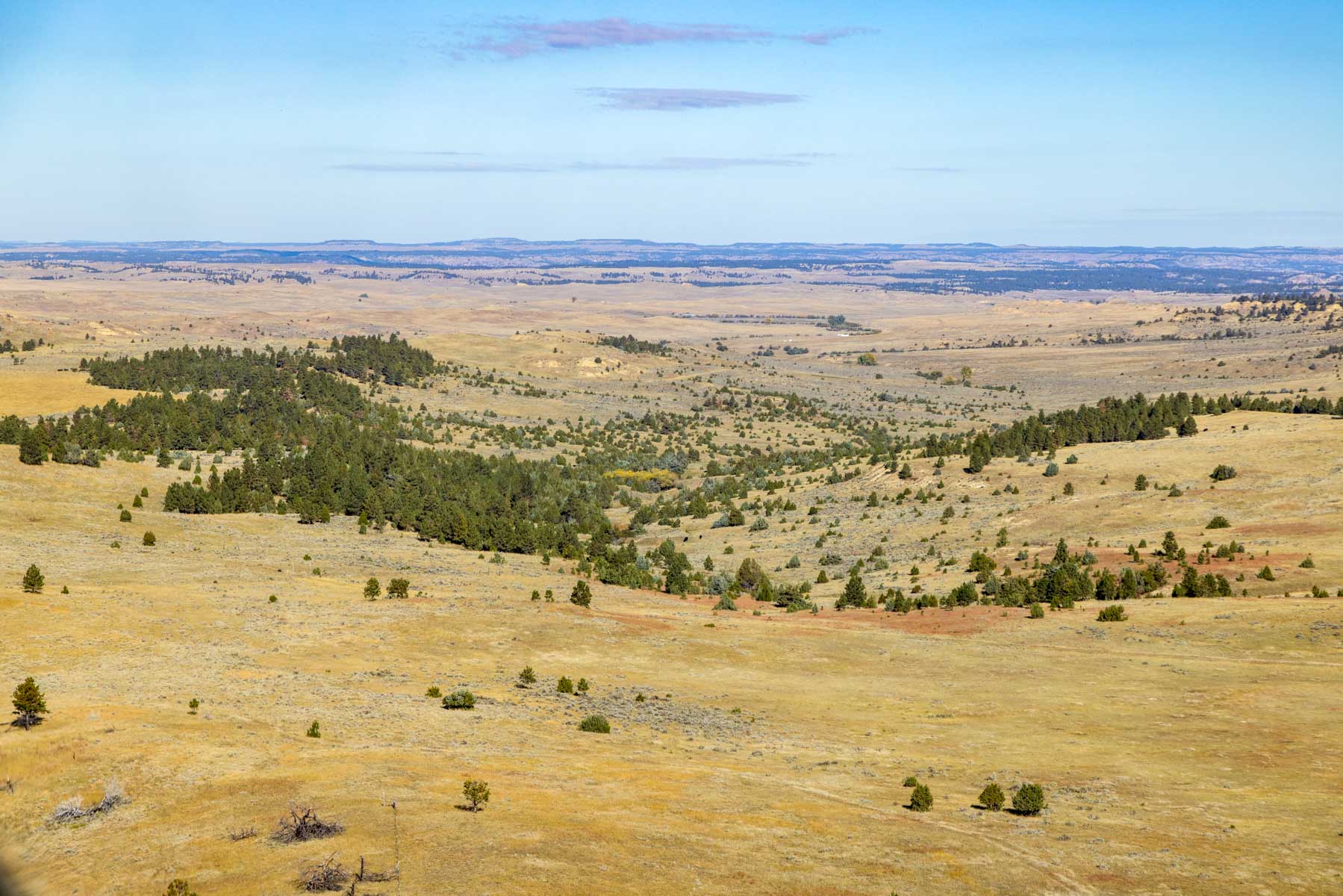 Cedar Creek Ranch property picture 41 of 76