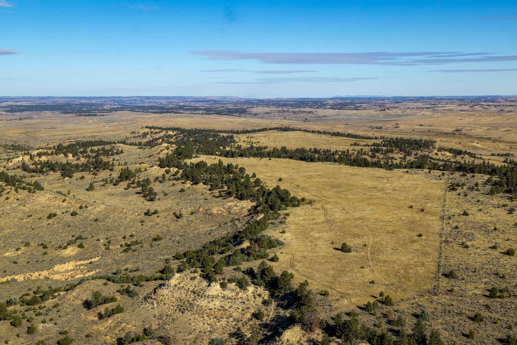 Cedar Creek Ranch property picture 44 of 76