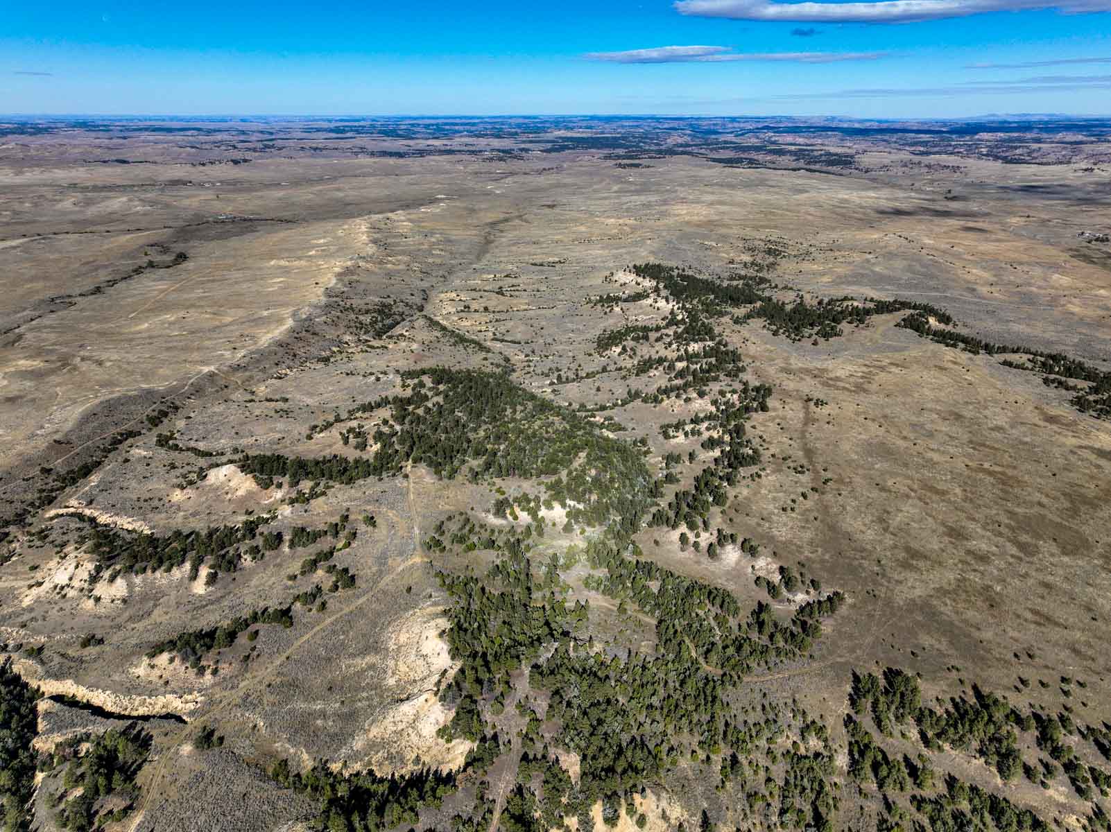 Cedar Creek Ranch property picture 74 of 76