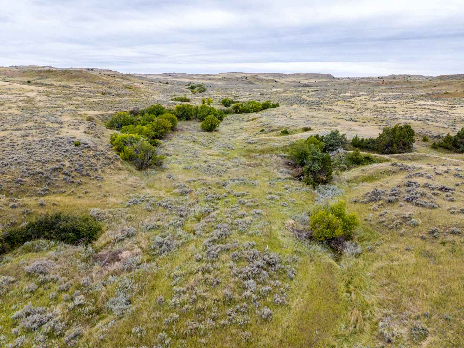 Cedar Creek Ranch property picture 63 of 76