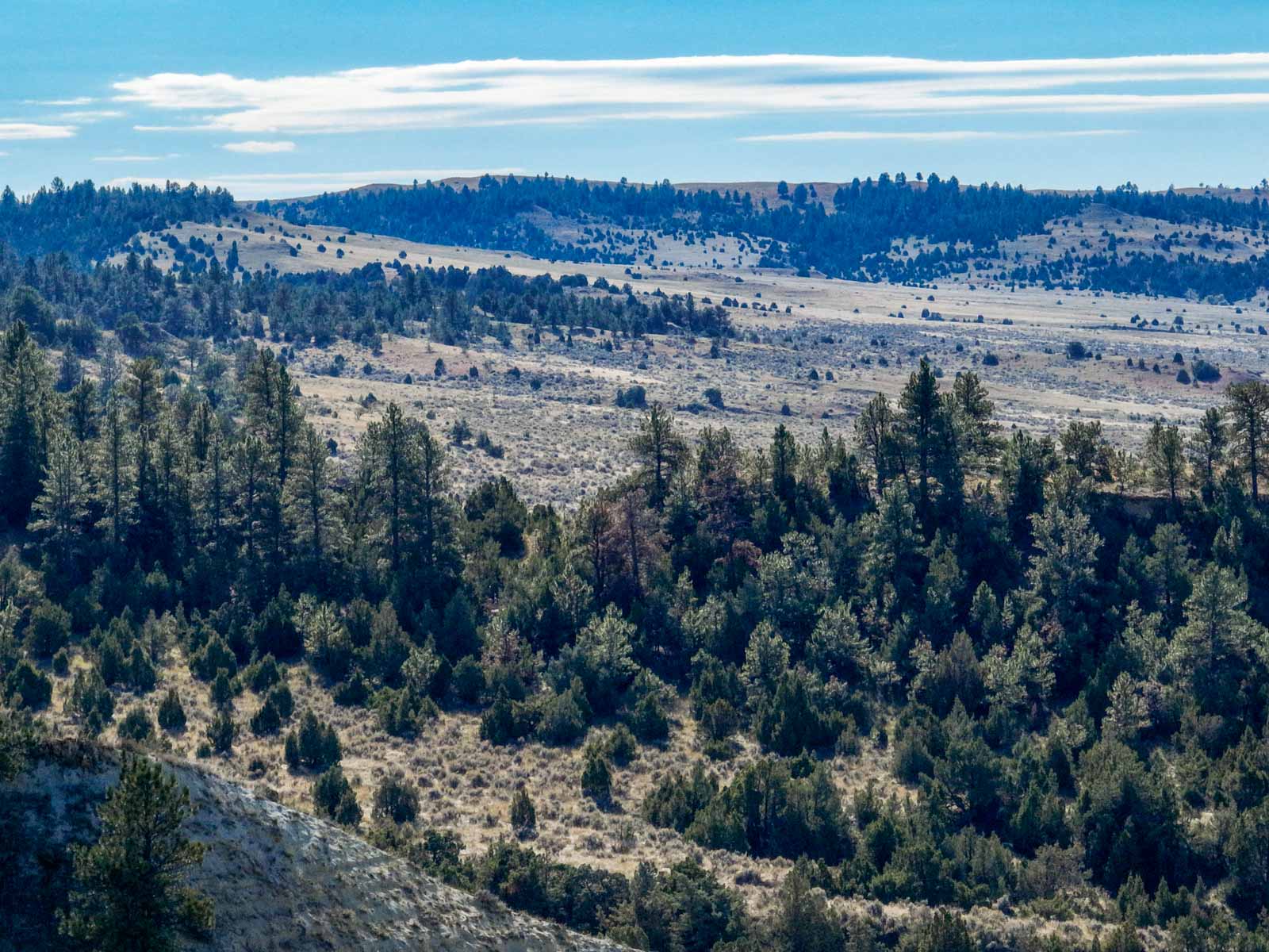 Cedar Creek Ranch property picture 67 of 76