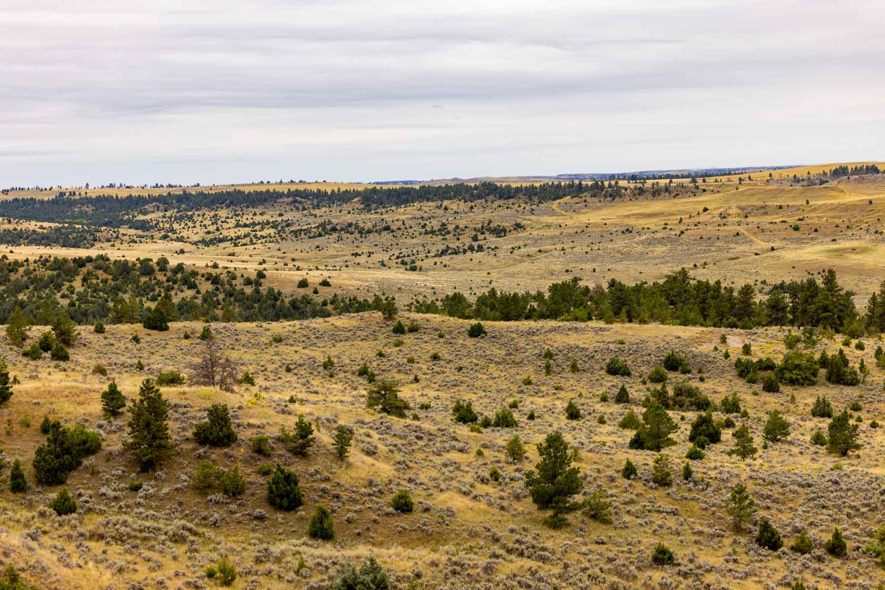 Cedar Creek Ranch property picture 26 of 76